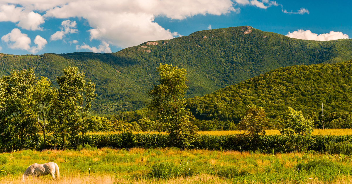 Dwayne Johnson's Secret Small Town Life: Inside His Virginia And ...