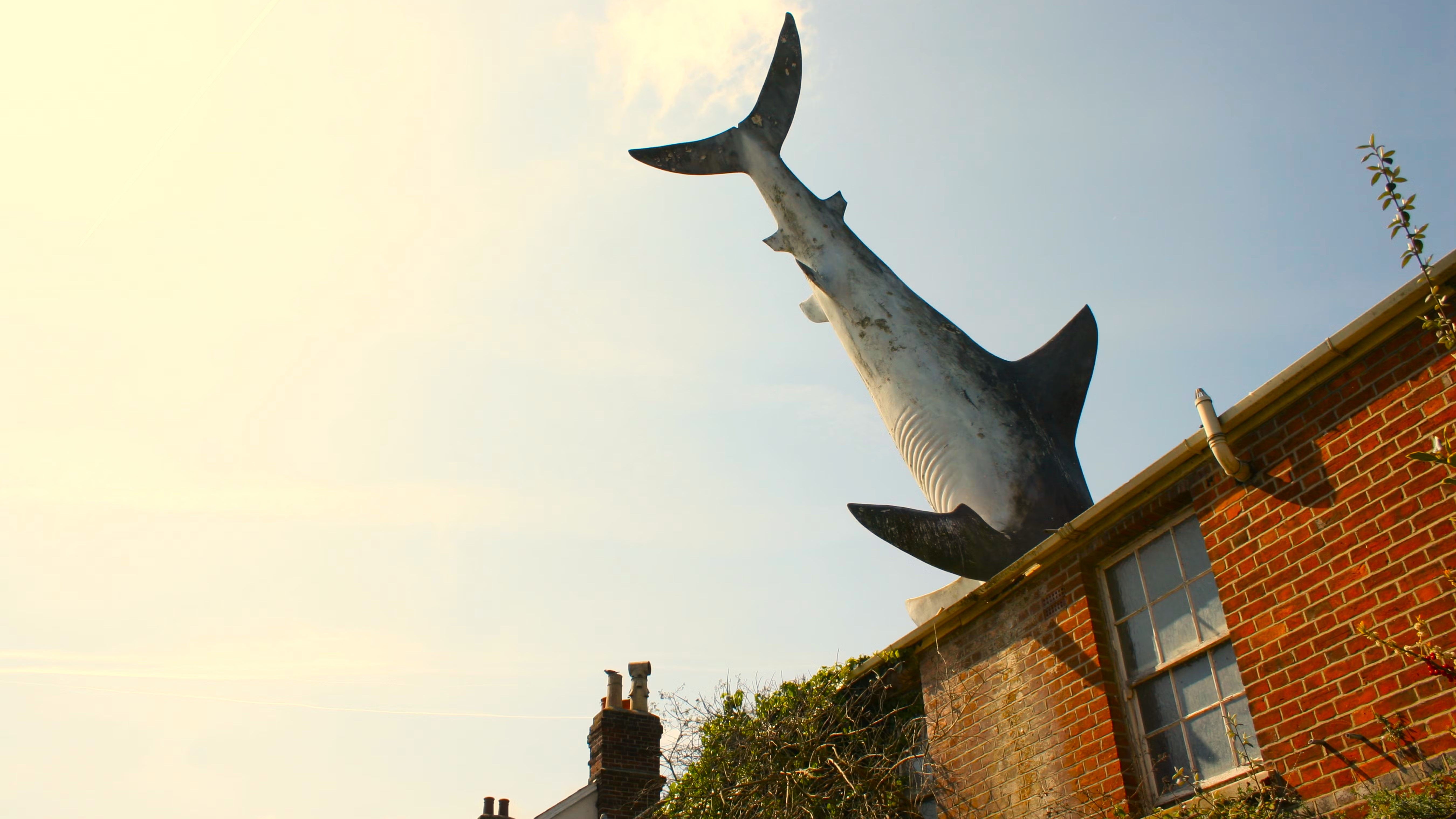 Bill Heine's Shark in a roof statue in Headington, Oxford in the UK