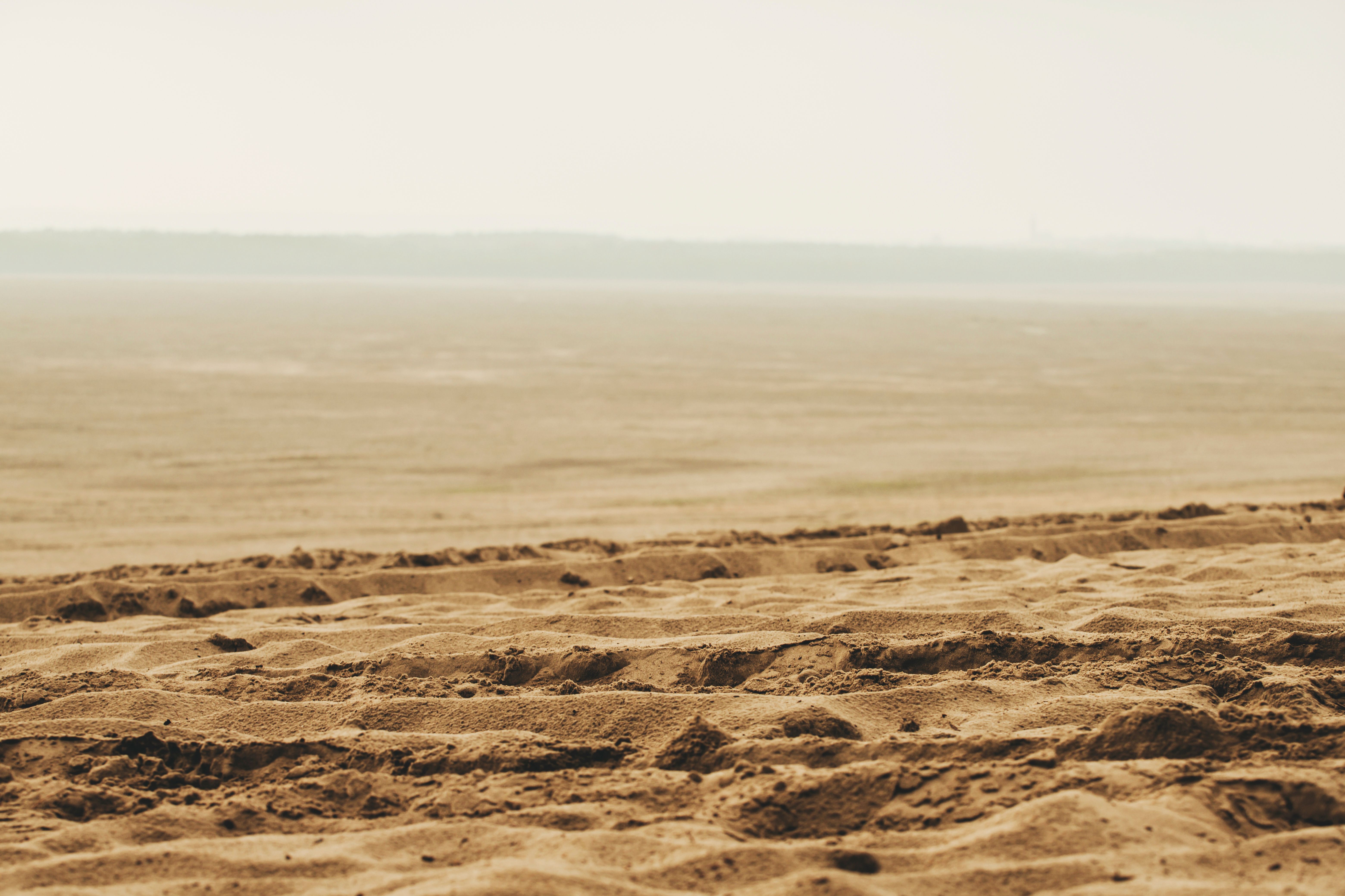 Έρημος Bledow (pustynia bledowska) η μεγαλύτερη έρημος άμμου στην περιοχή της Σιλεσίας στην Πολωνία