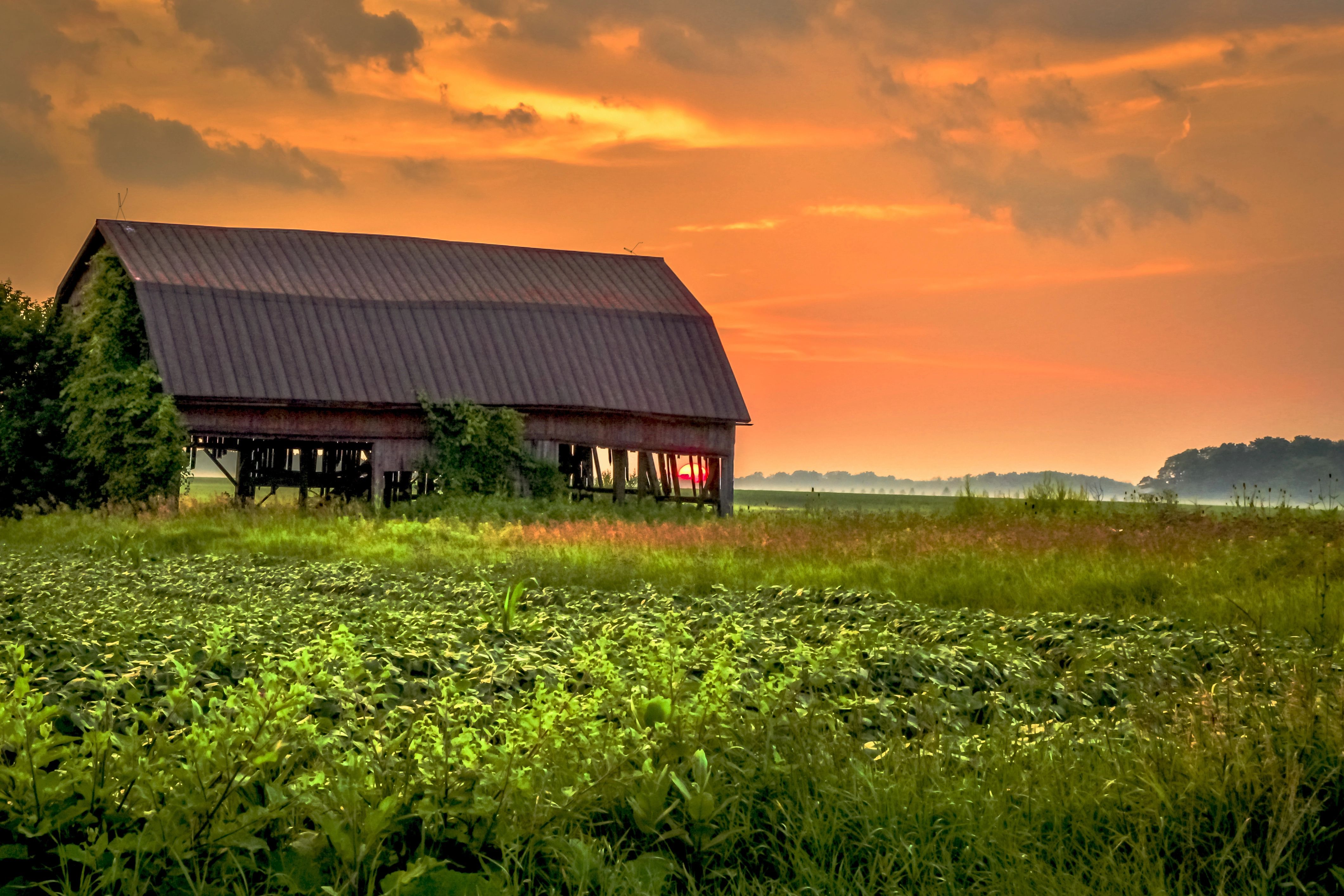 Is Iowa Rural Iowa - Maps | TheTravel