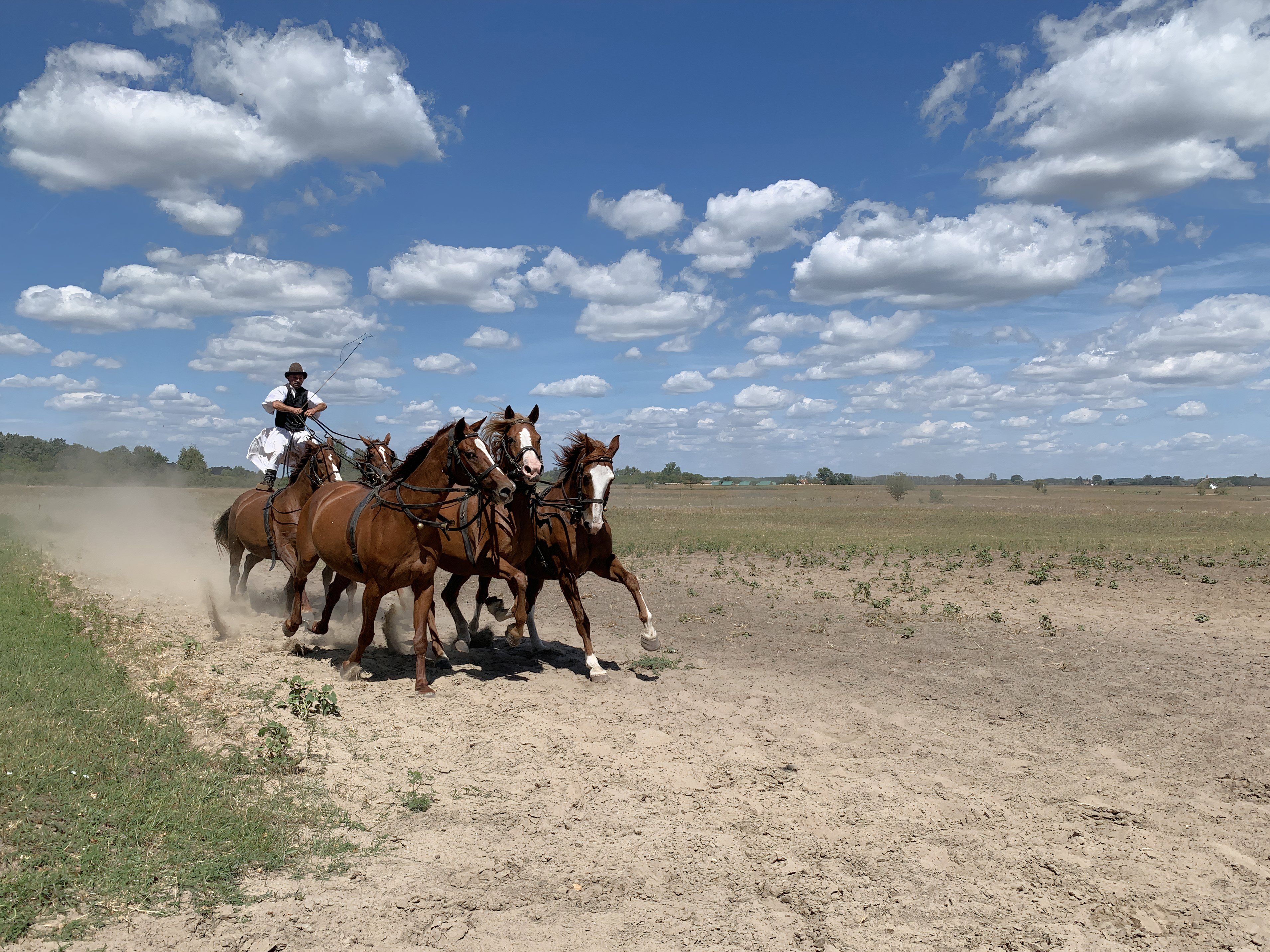 Ουγγρική επίδειξη αλόγων στο Bugac Puszta, στο εθνικό πάρκο Kiskunság