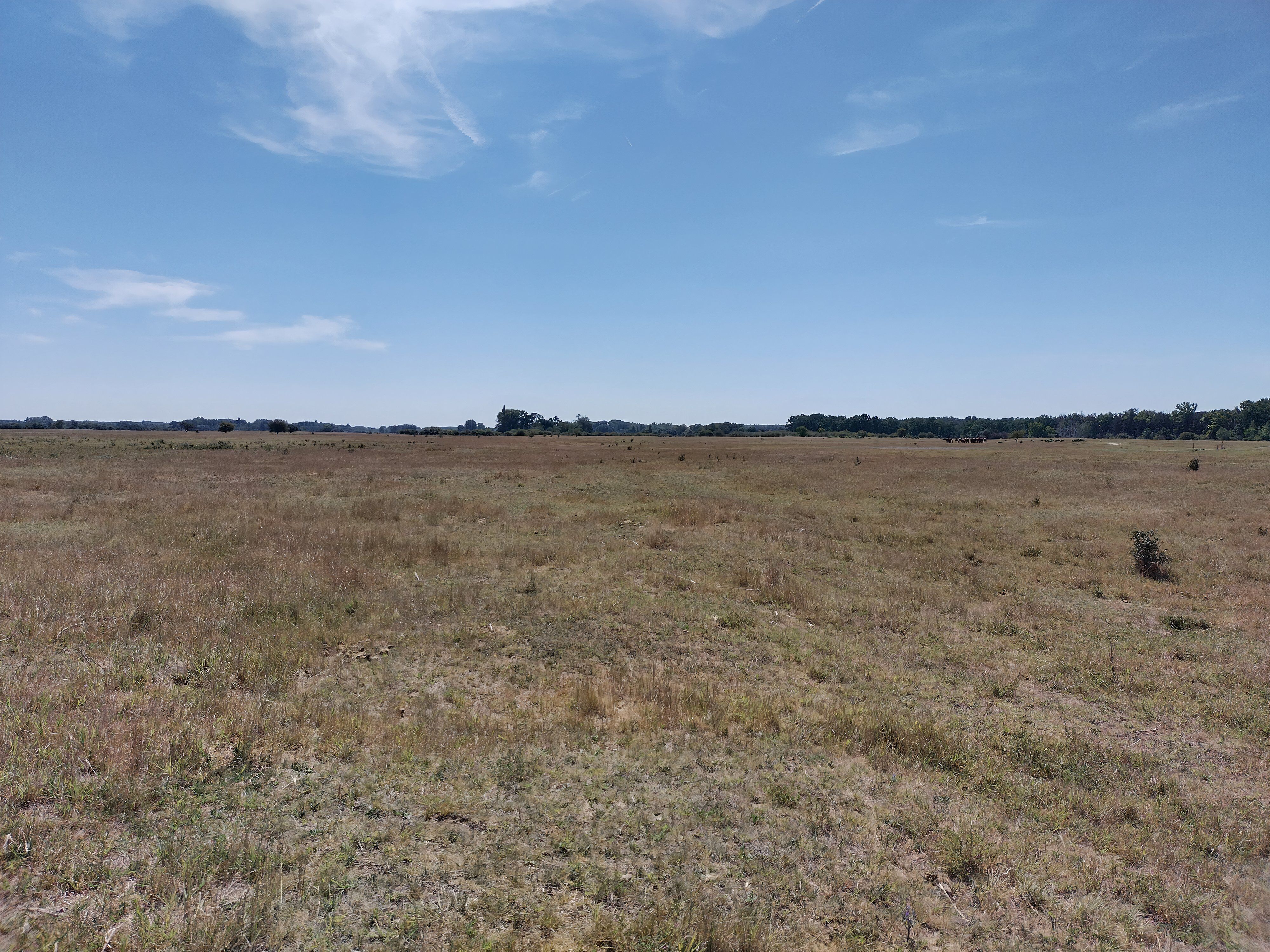 Εθνικό Πάρκο Kiskunság. Επίπεδη, ξηρή γη