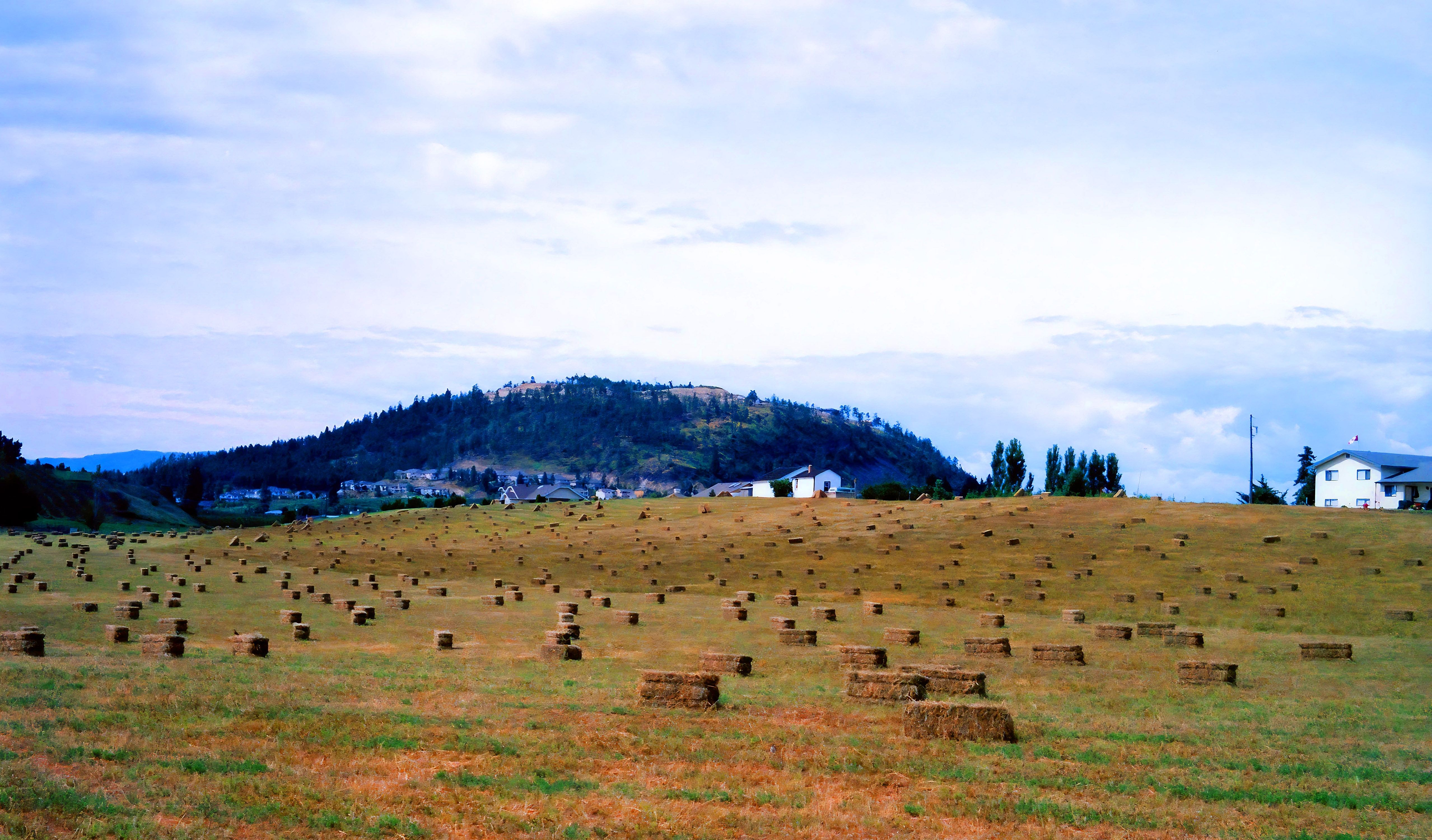 Η έρημος Okanagan είναι η κοινή ονομασία για έναν ημίξηρο θαμνώδη χώρο