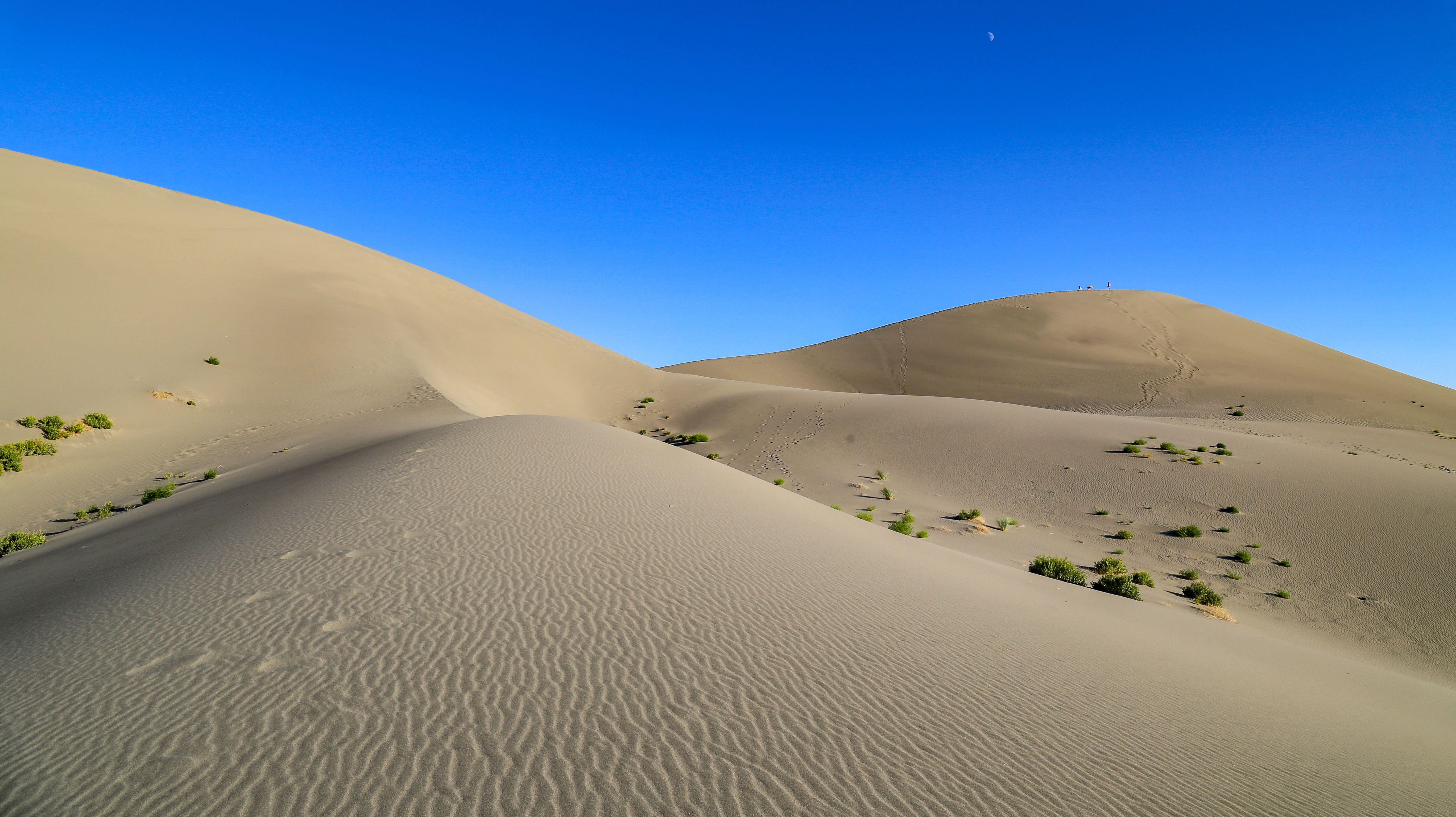 Bruneau Sand Dunes State Park, Idaho, USA