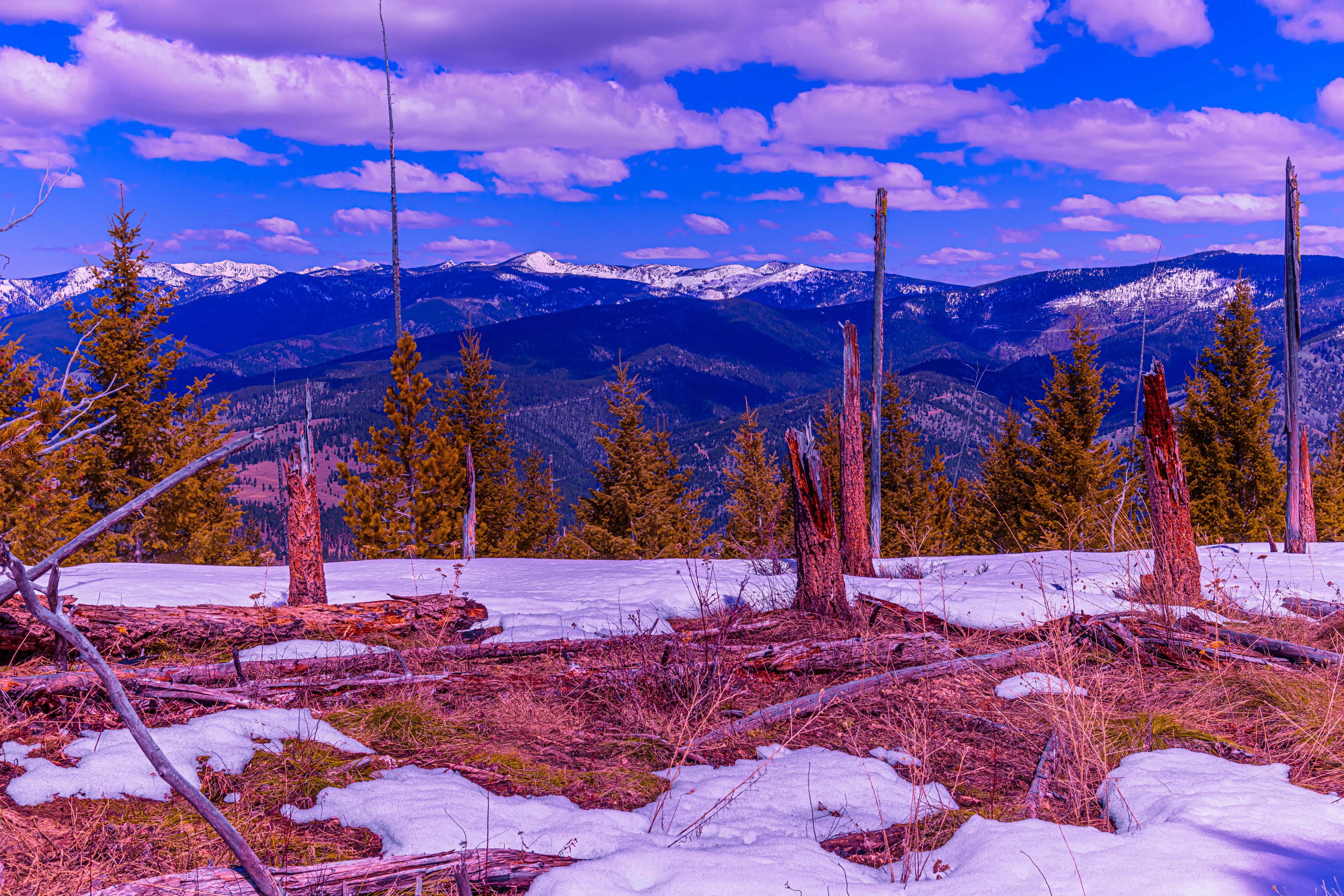 Sapphire Mountains from University Mountain in Montana, Lolo National Forest, MT, USA