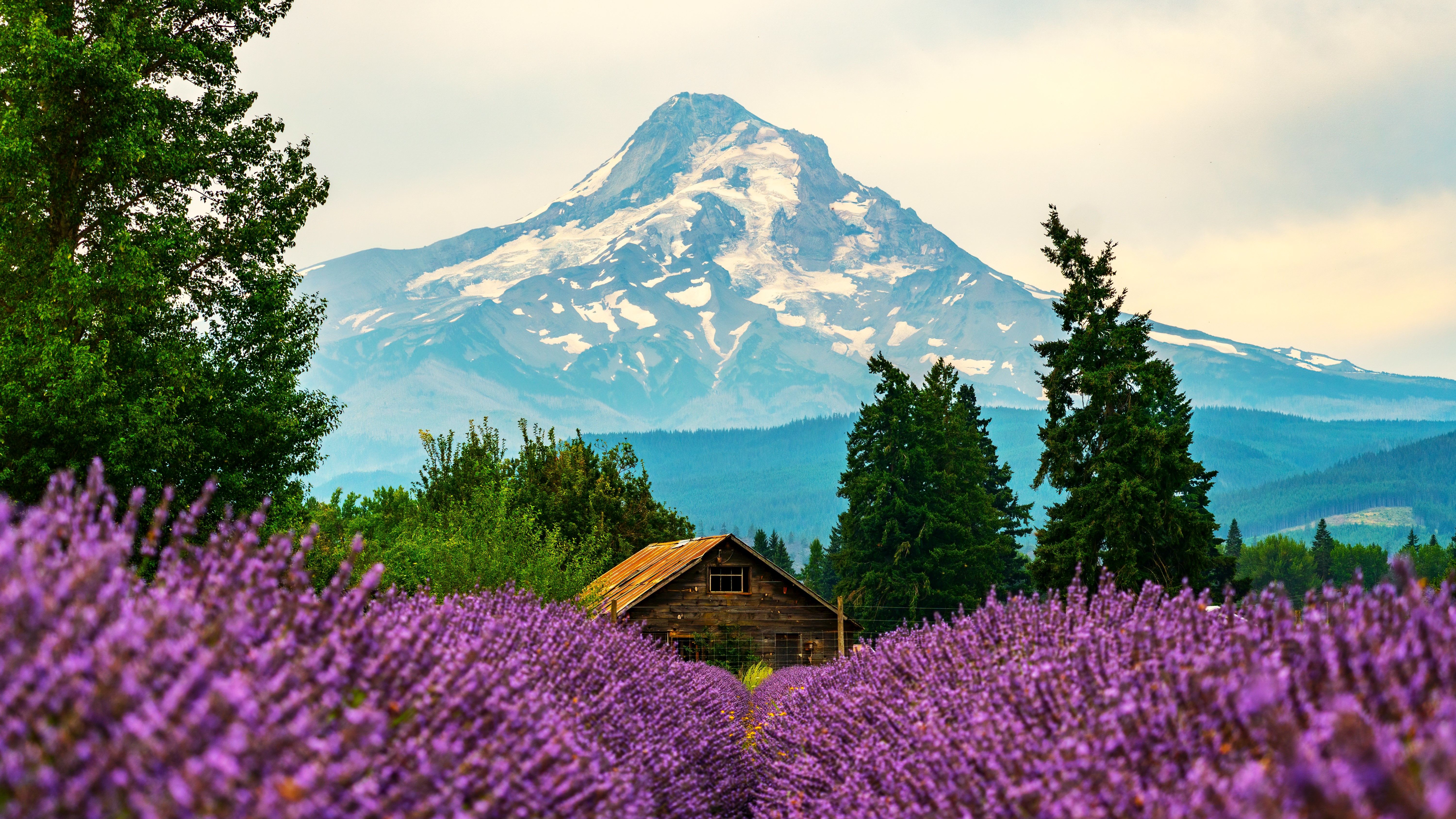 Hood River, Oregon