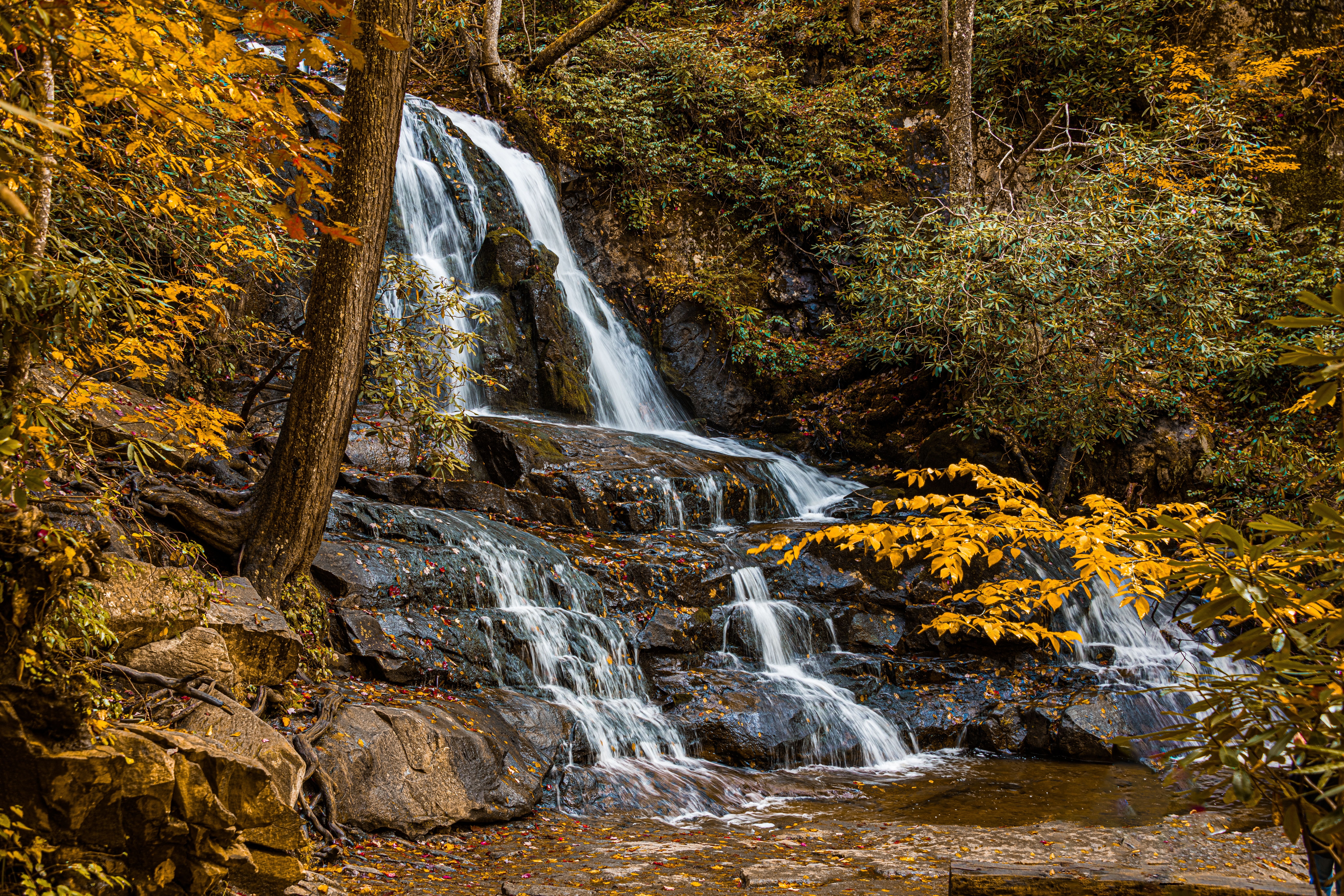 Laurel falls