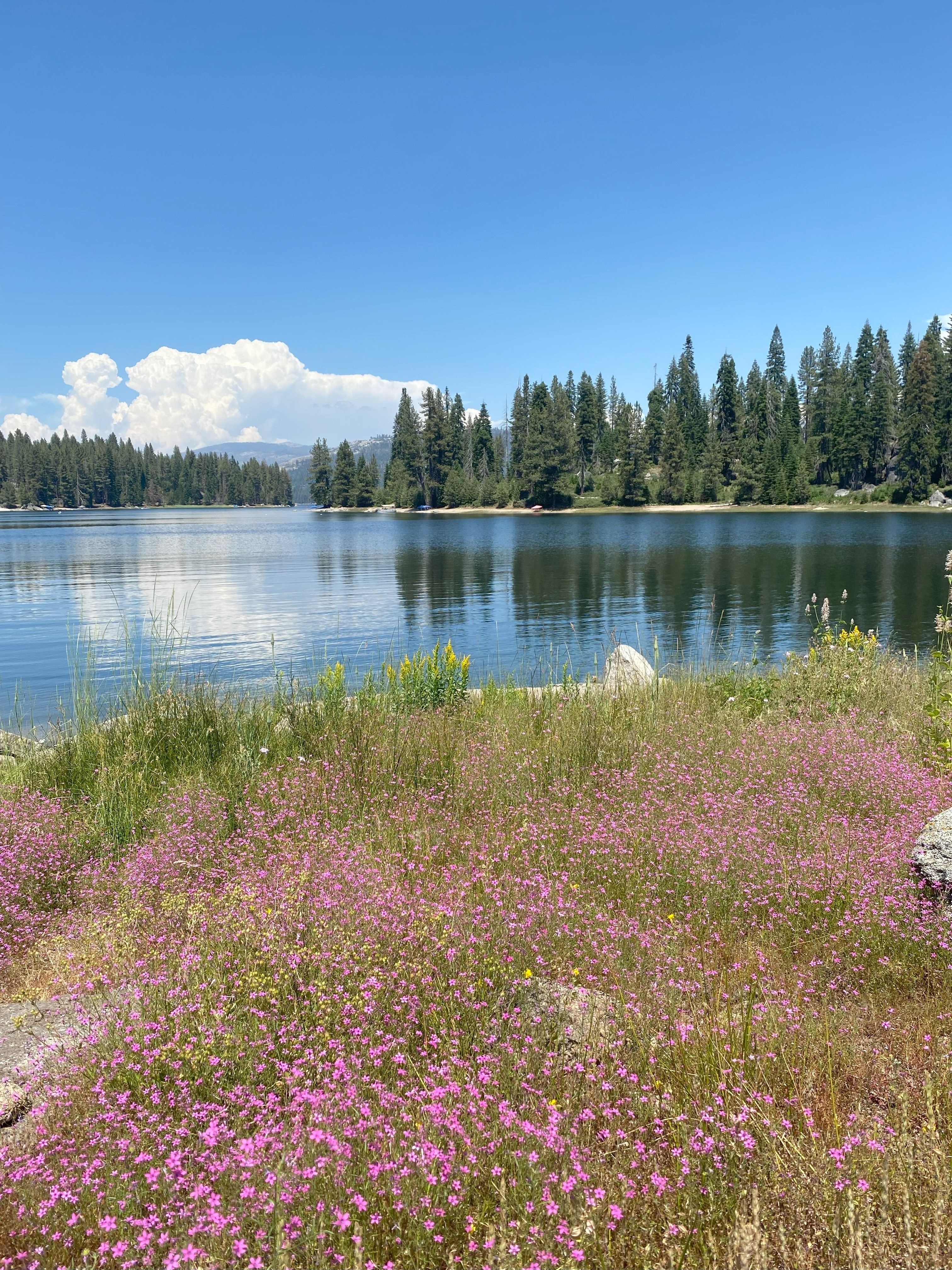 Shaver Lake, California, CA, USA