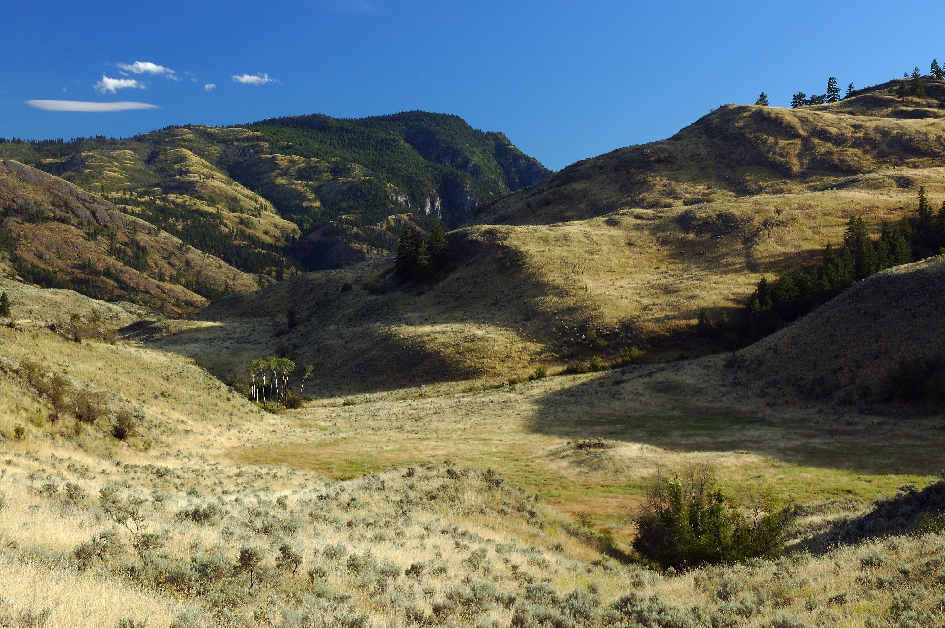 Λιβάδια της ερήμου νότιου Okanagan στο όρος Kobau