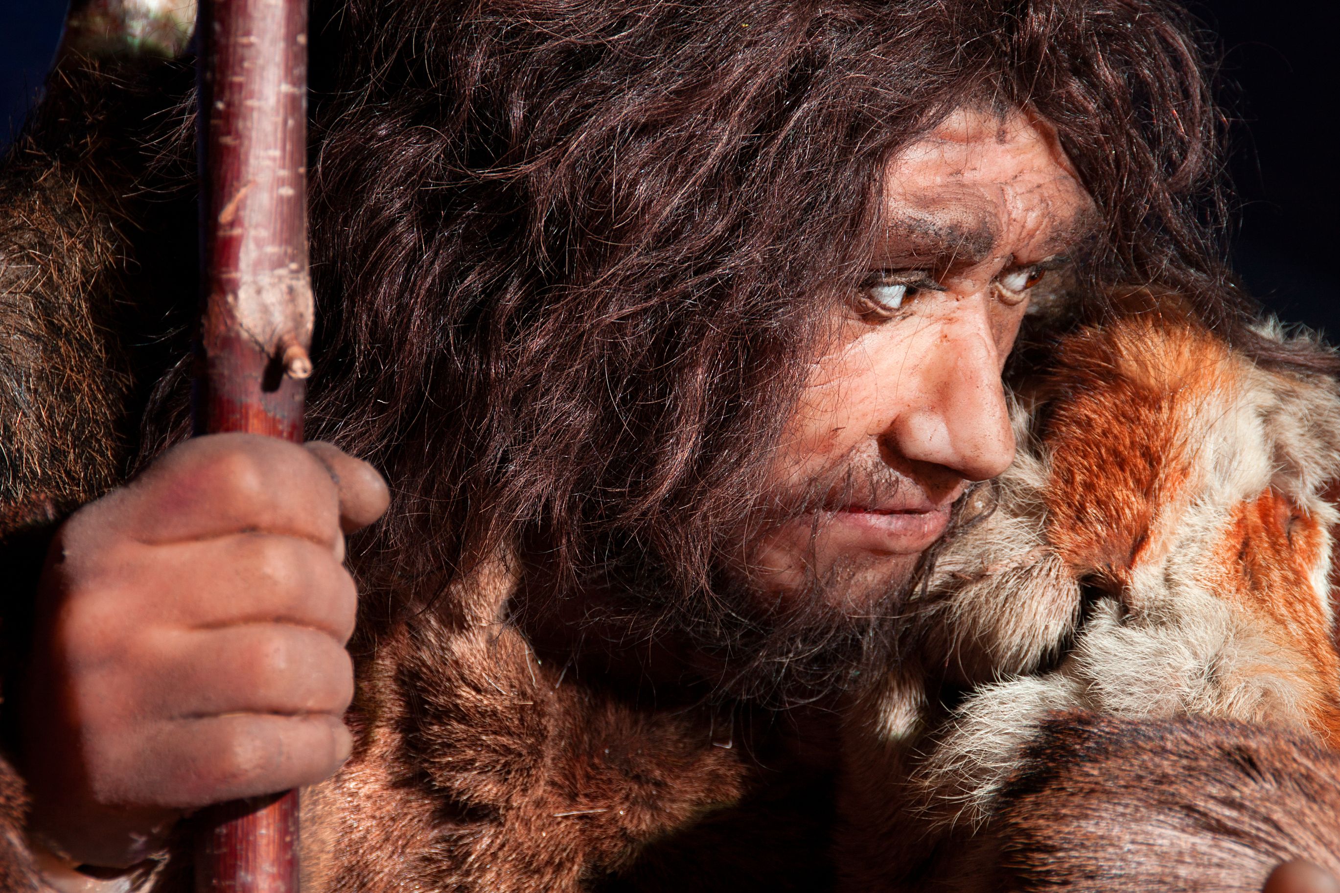 Neanderthal