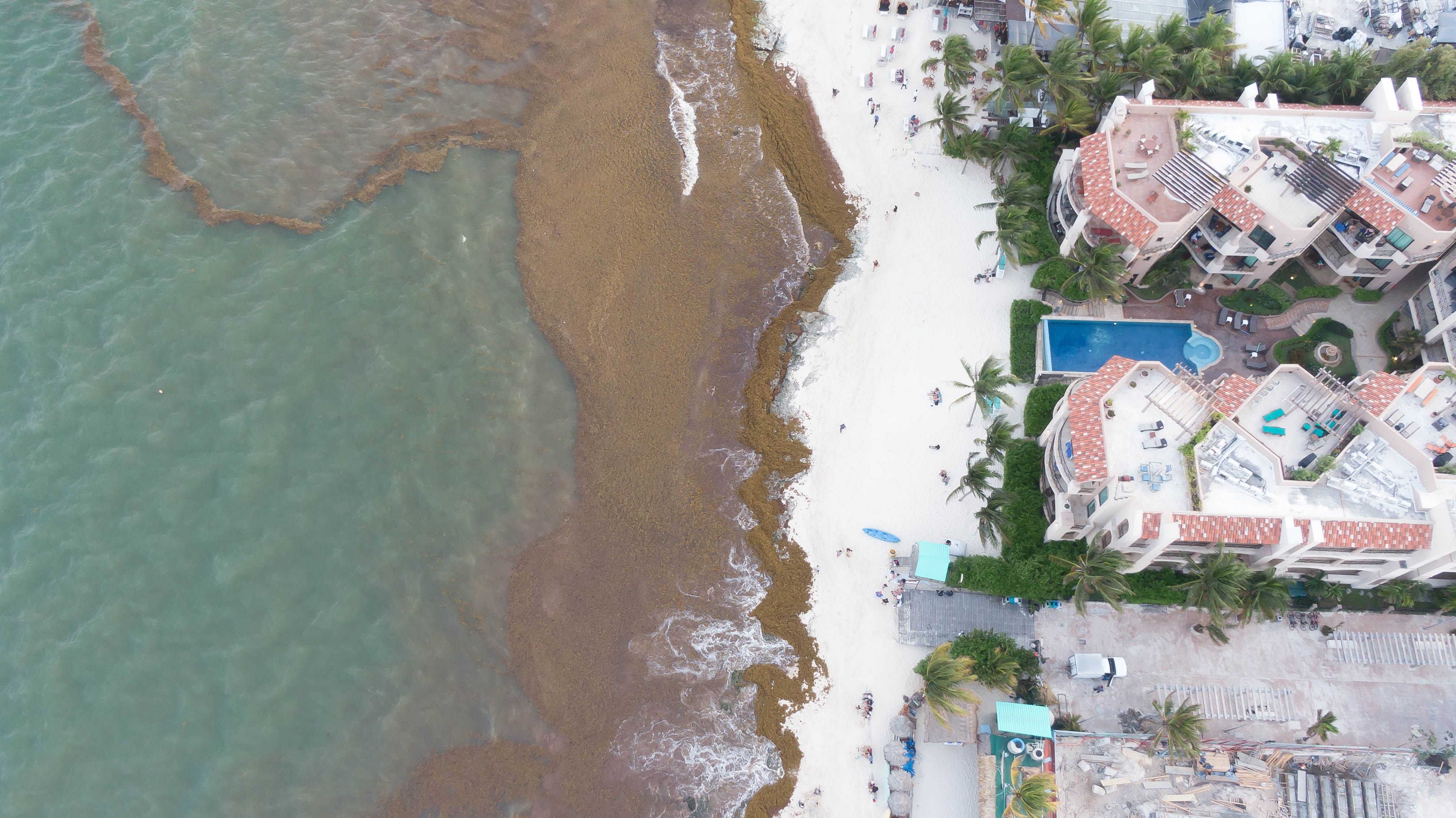 Playa del Carmen