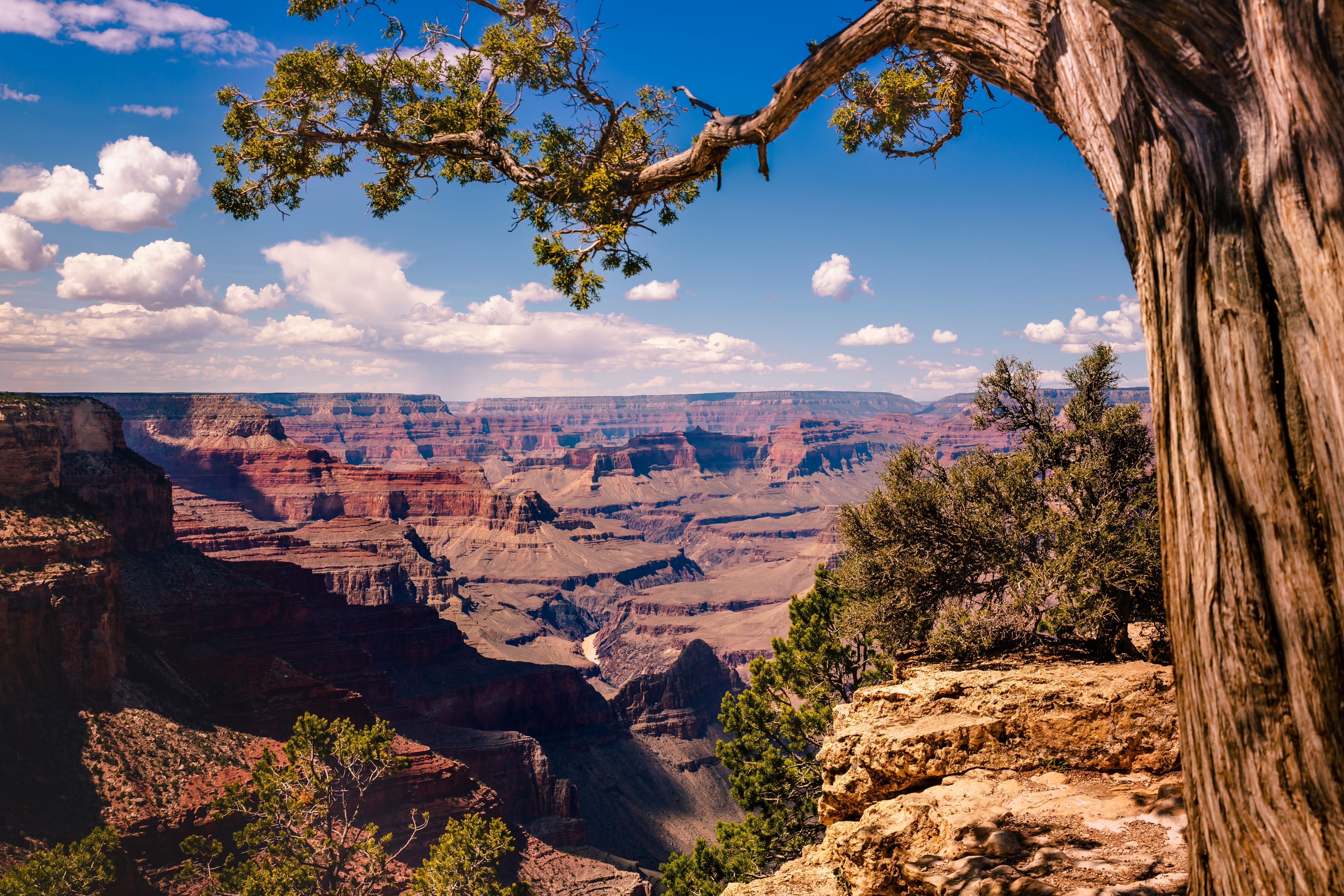 Grand Canyon South Rim