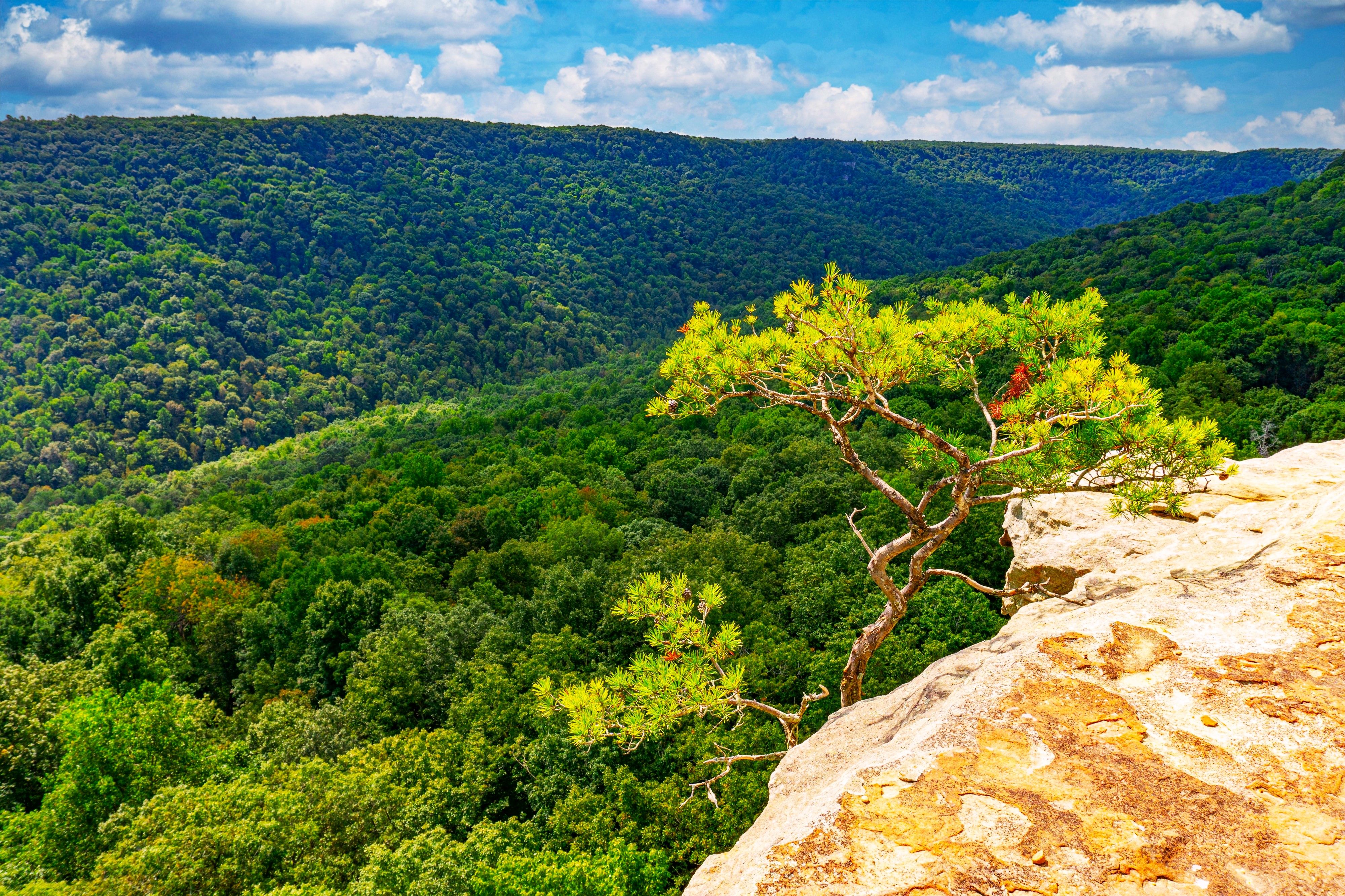 Savage Gulf off the Great Stone Door Trail, Savage Gulf State Park, Tennessee, TN, USA