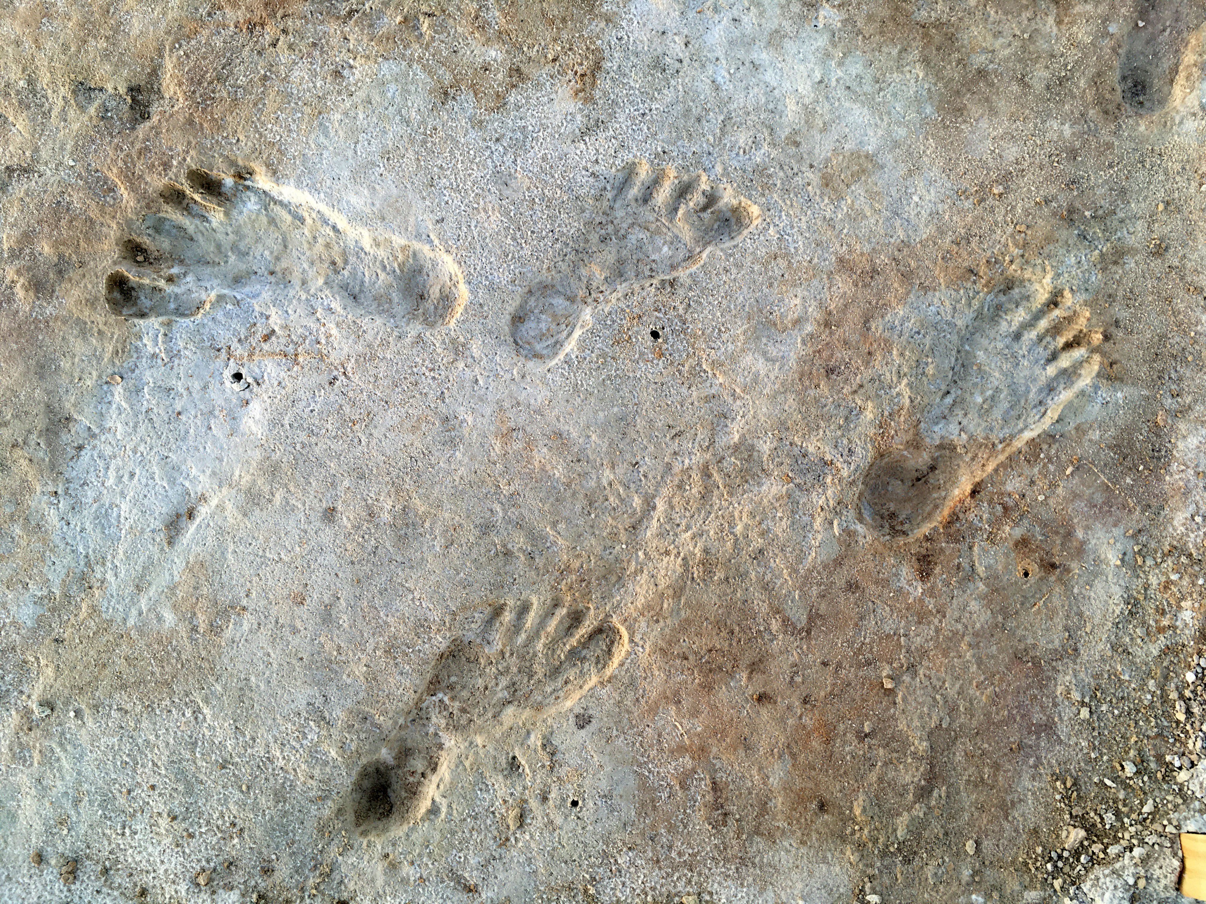 Human Fossil Tracks at White Sands in New Mexico, NM, USA