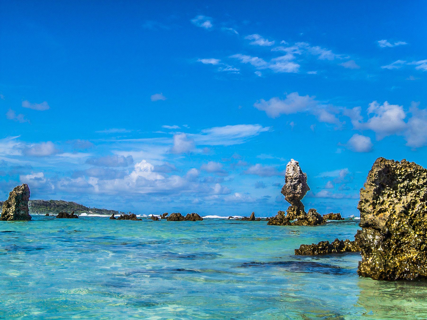 Coral in Naaru