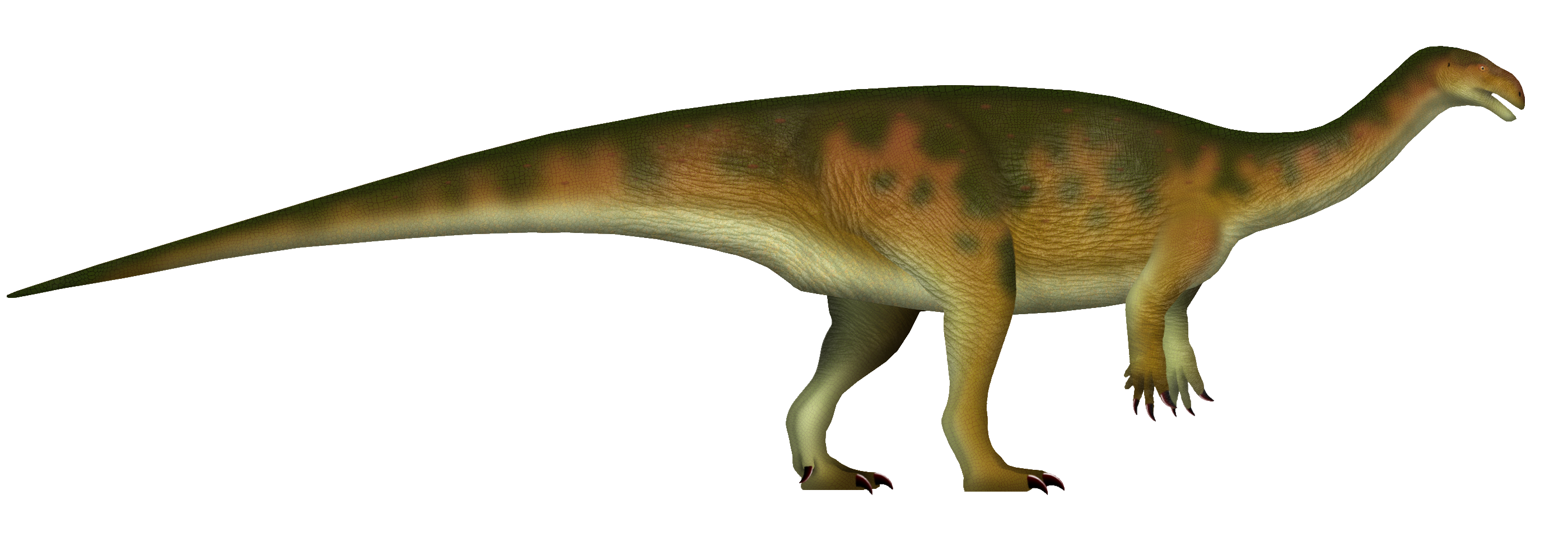 Plateosaurus Artist, Basal Sauropodomorph Dinosaurs 