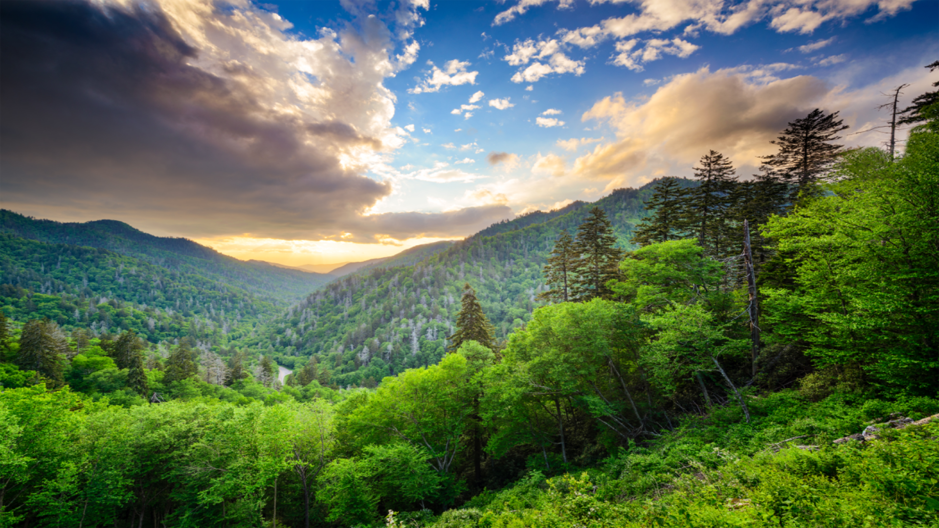 Newfound Gap in the Smoky Mountains