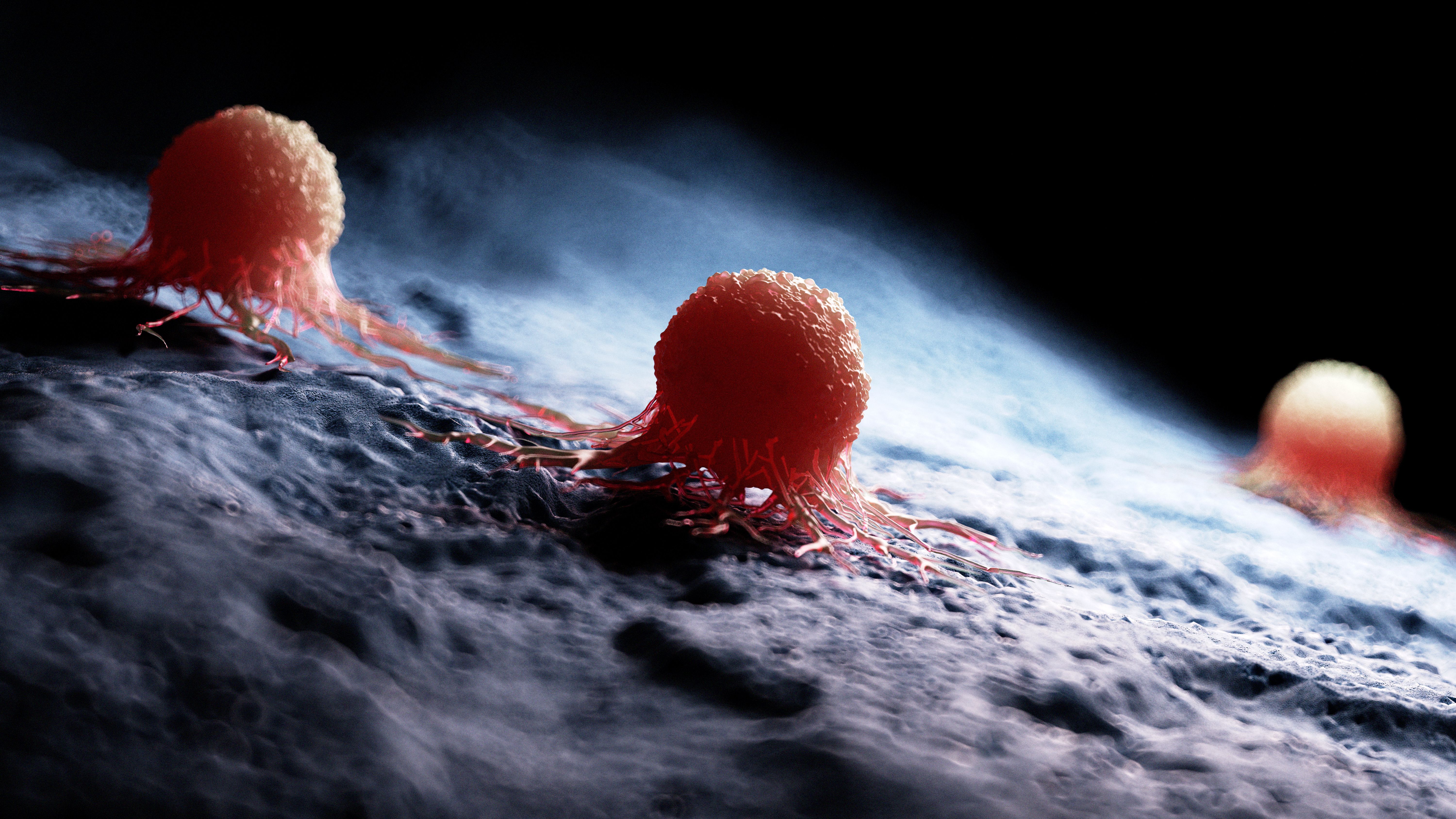 3D clarification of cancer cells