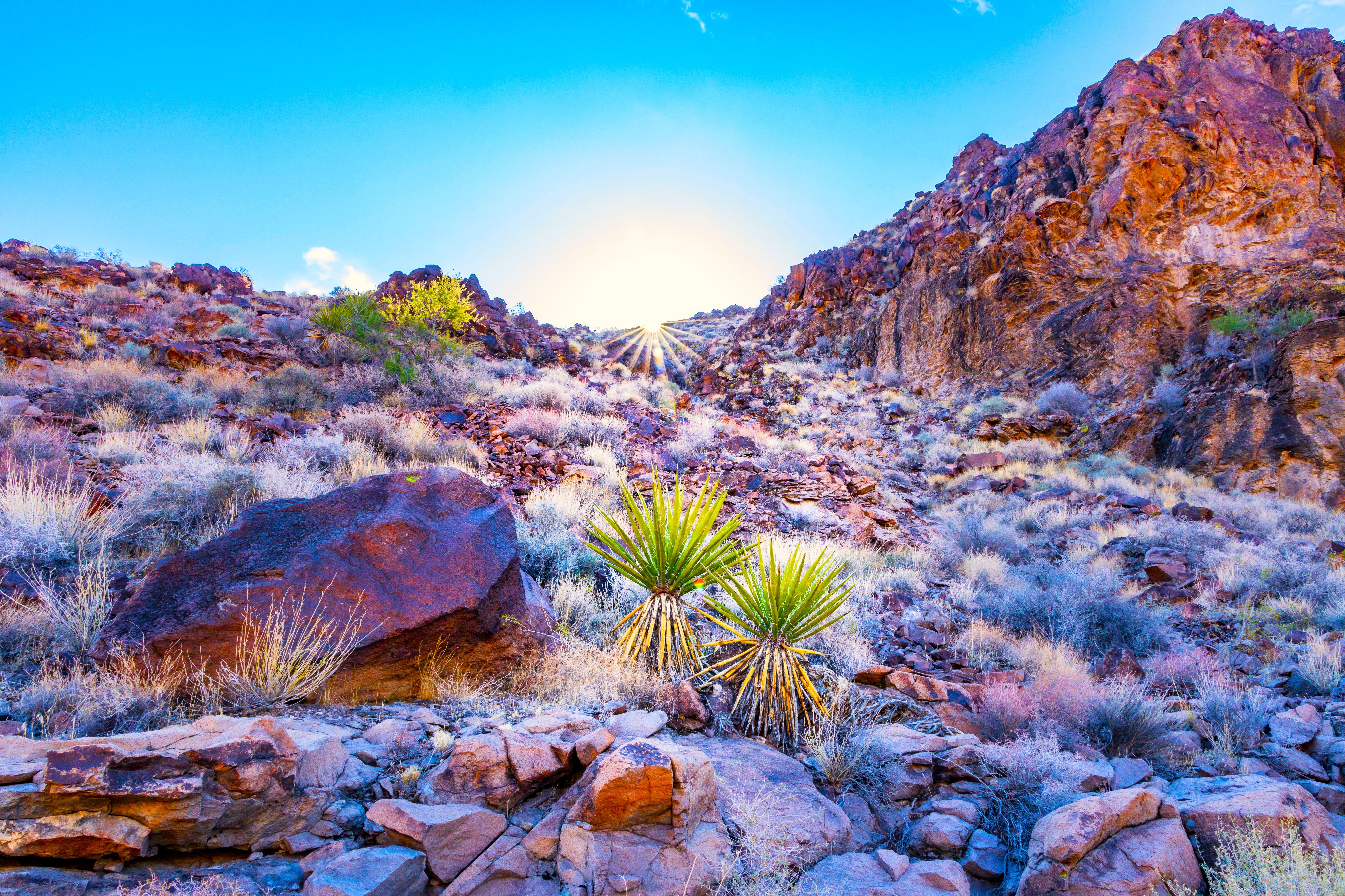 Sloan Canyon National Conservation Area, Nevada, NV, USA