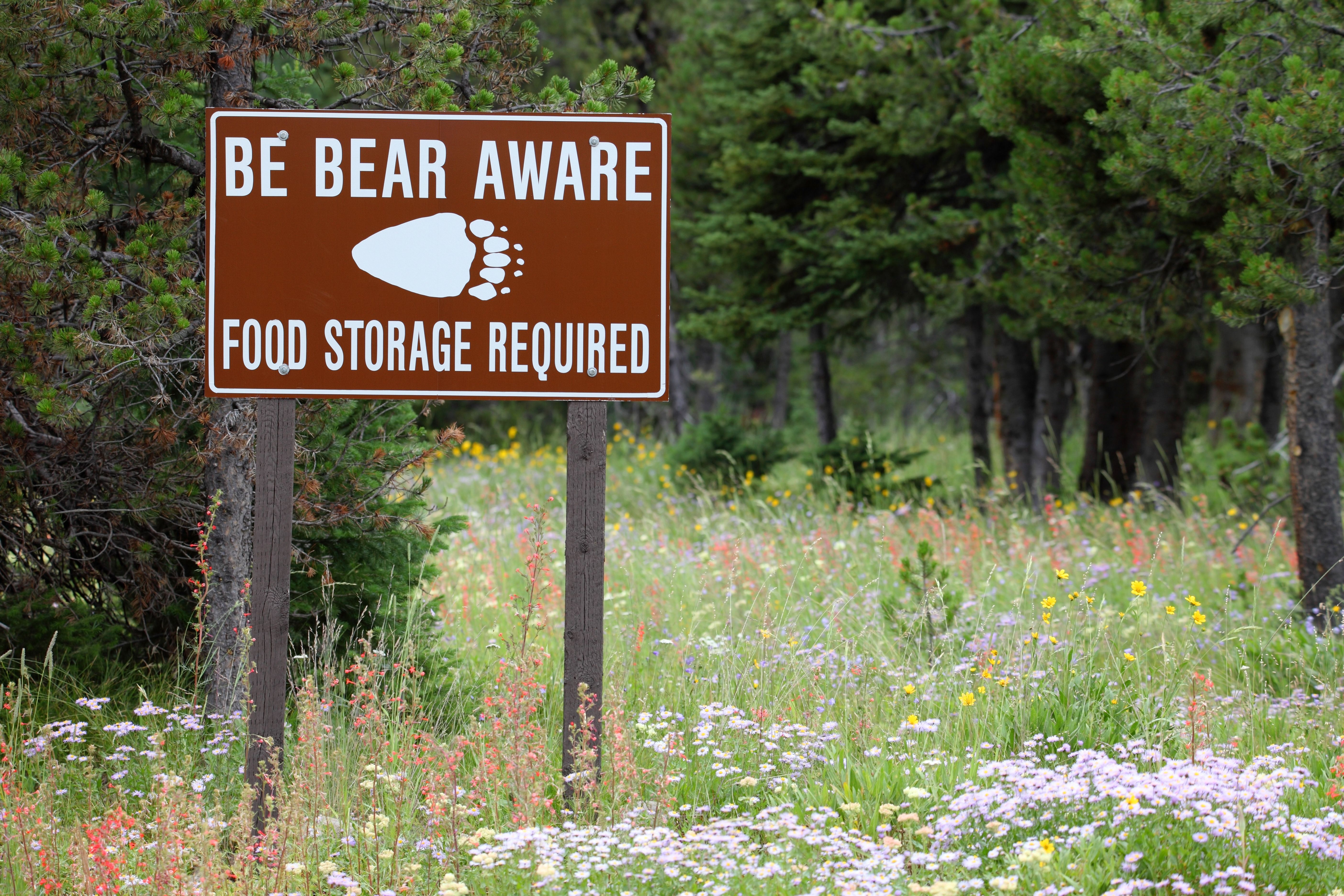 Bear Aware Sign