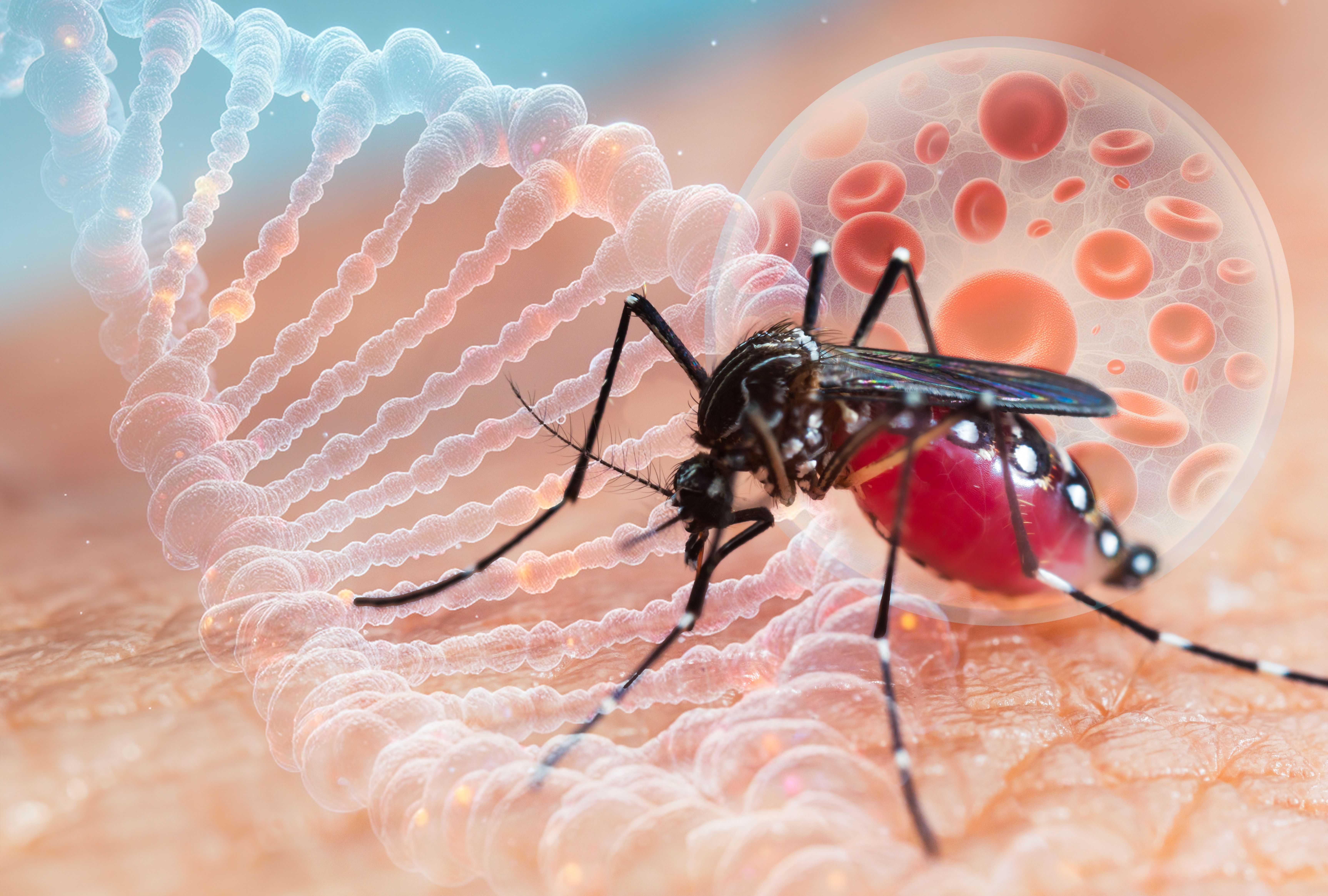 Dengue fever