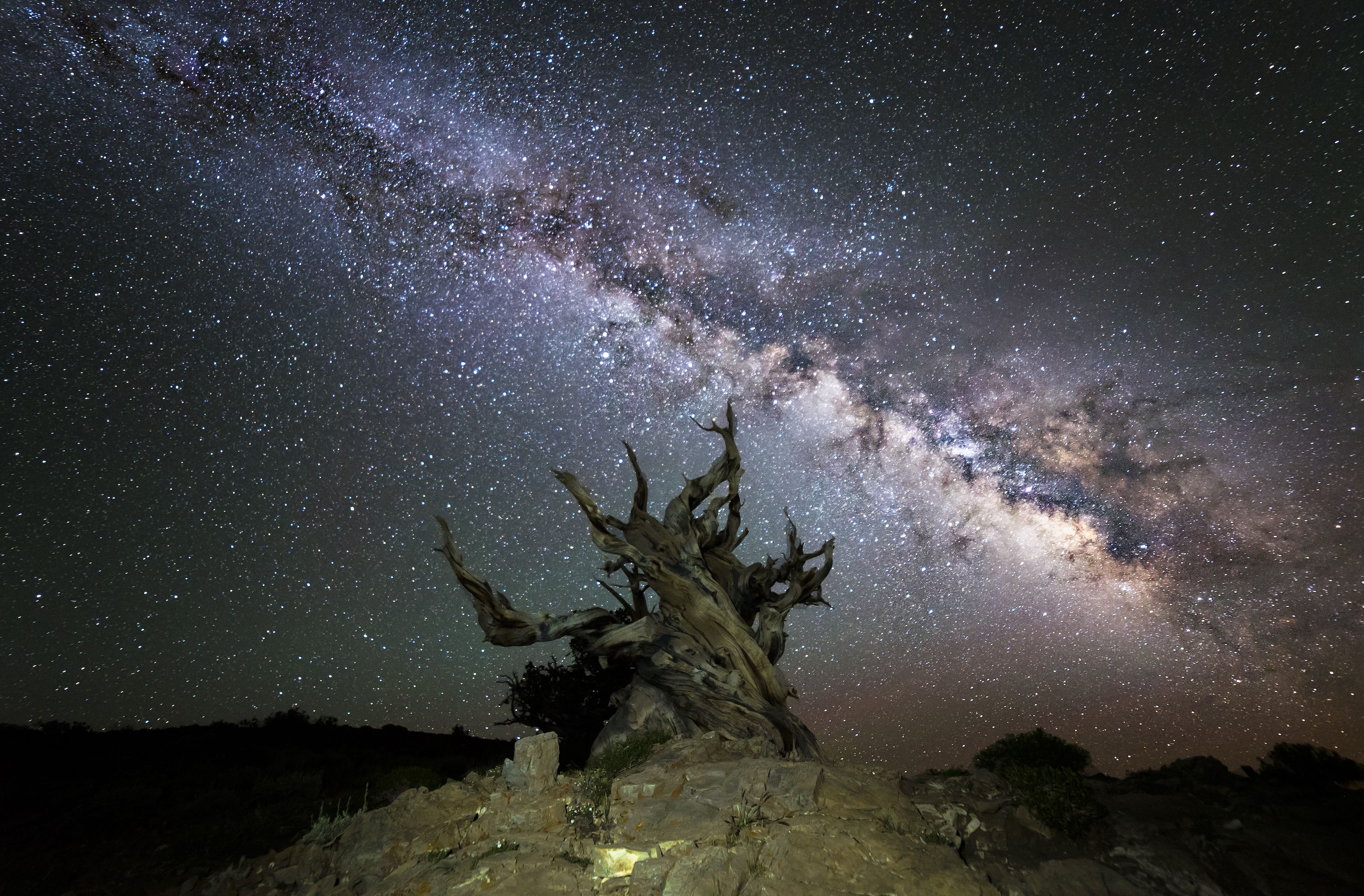 The night sky in the great Basin National Park, Nevada, USA
