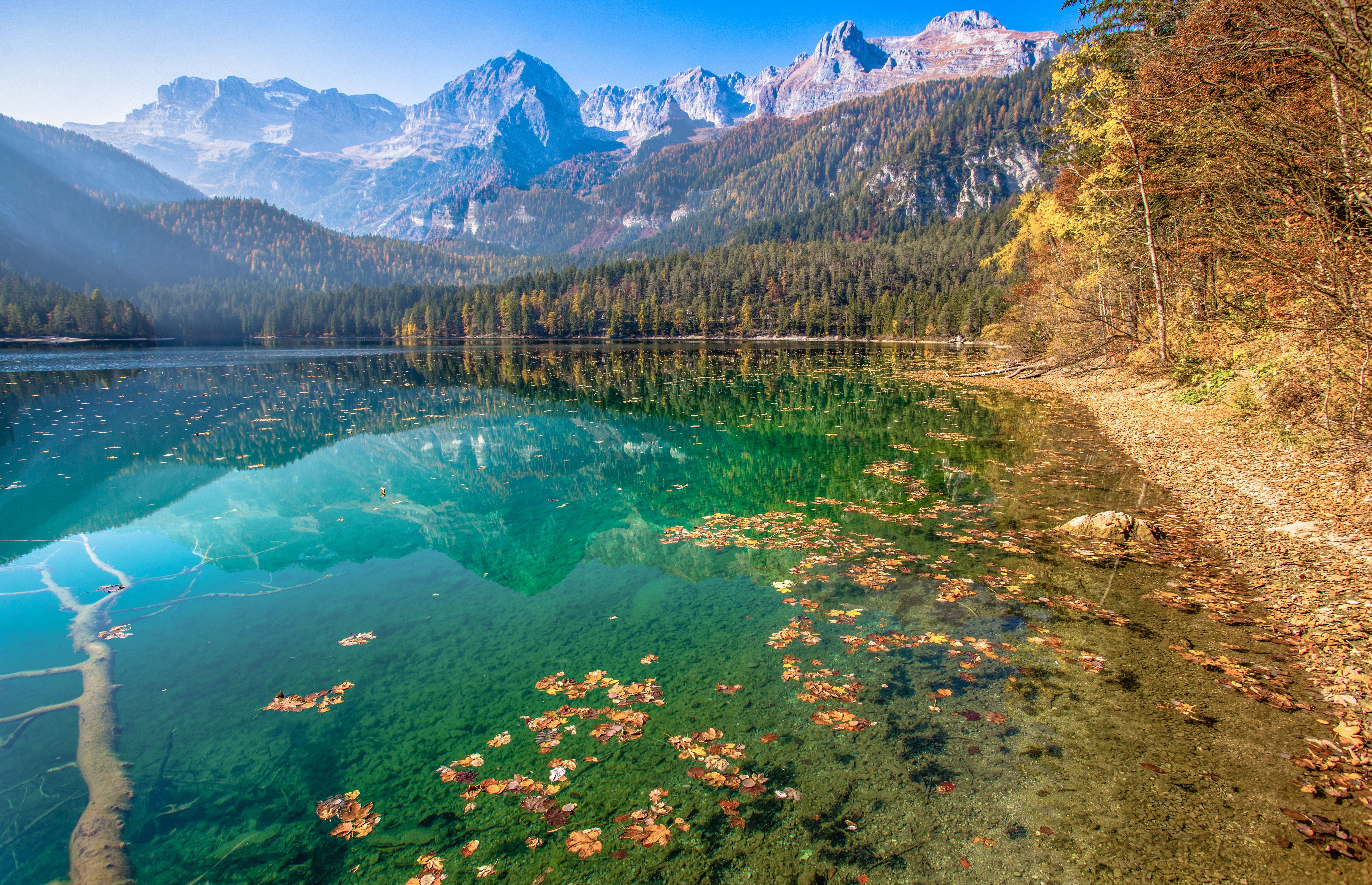 The autumn view of Tovel Lake, Val in Non in Adamello-Brrenta Nature Park, Trentino Alto-Aadige, Italy.
