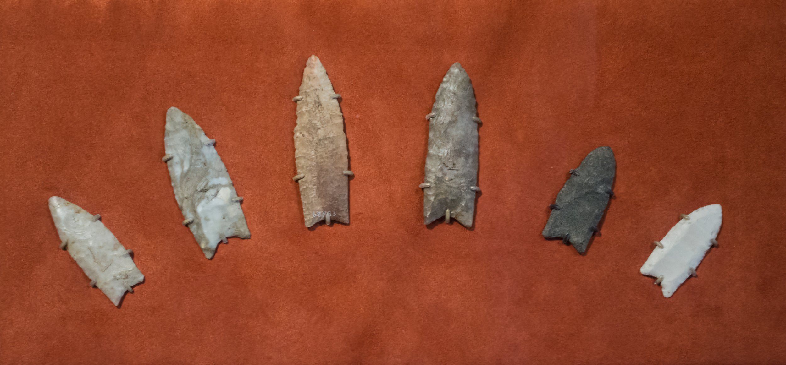     Clovis Spearpoints from Wisconsin, Wisconsin, Wisconsin/Illinois Border, Illinois, Ohio, and Georgiaat Cleveland Museum of Natural History in Cleveland, Ohio