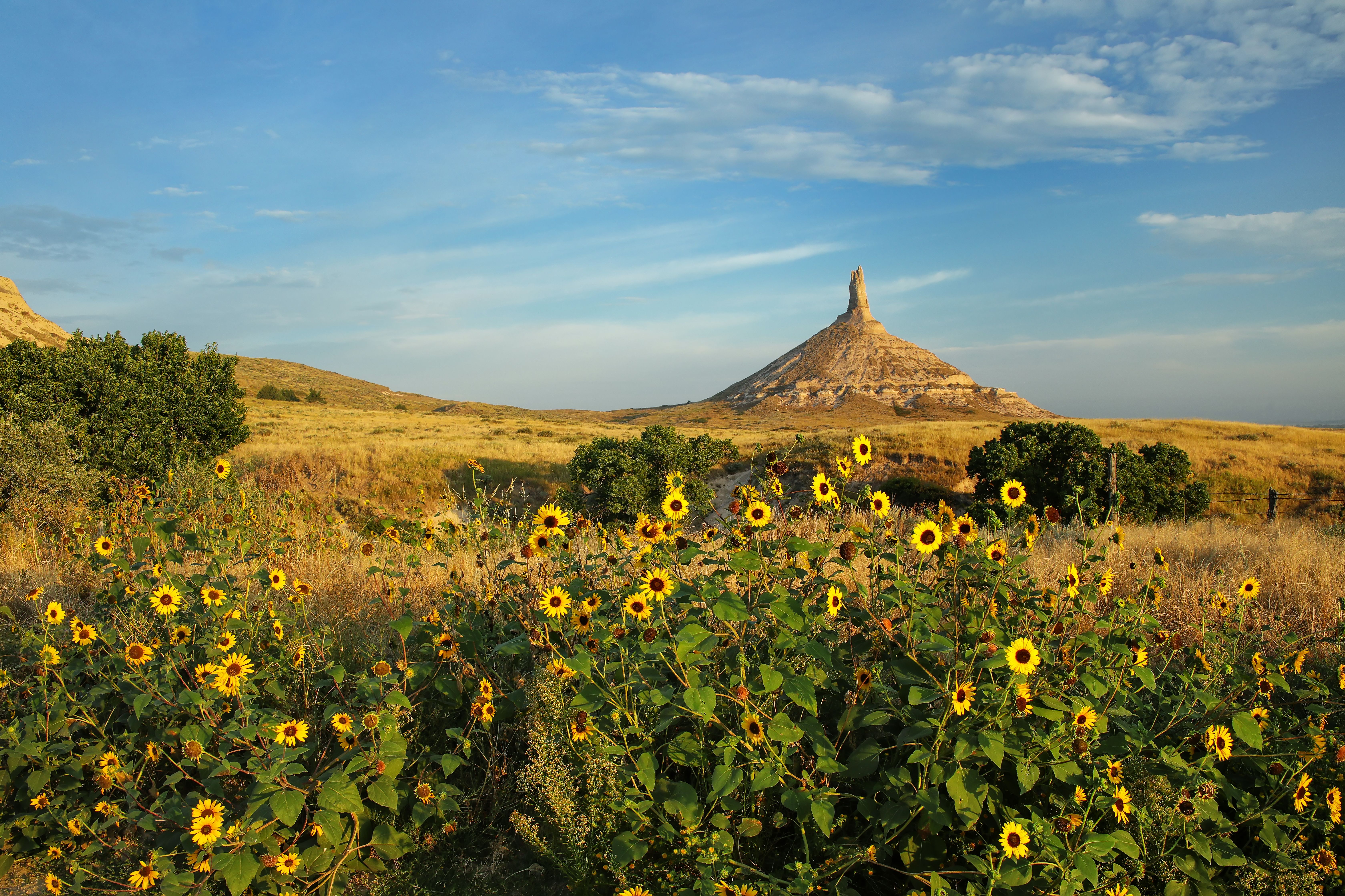 Chimney Rock National Historic Site with sunflowers, western Nebraska, USA