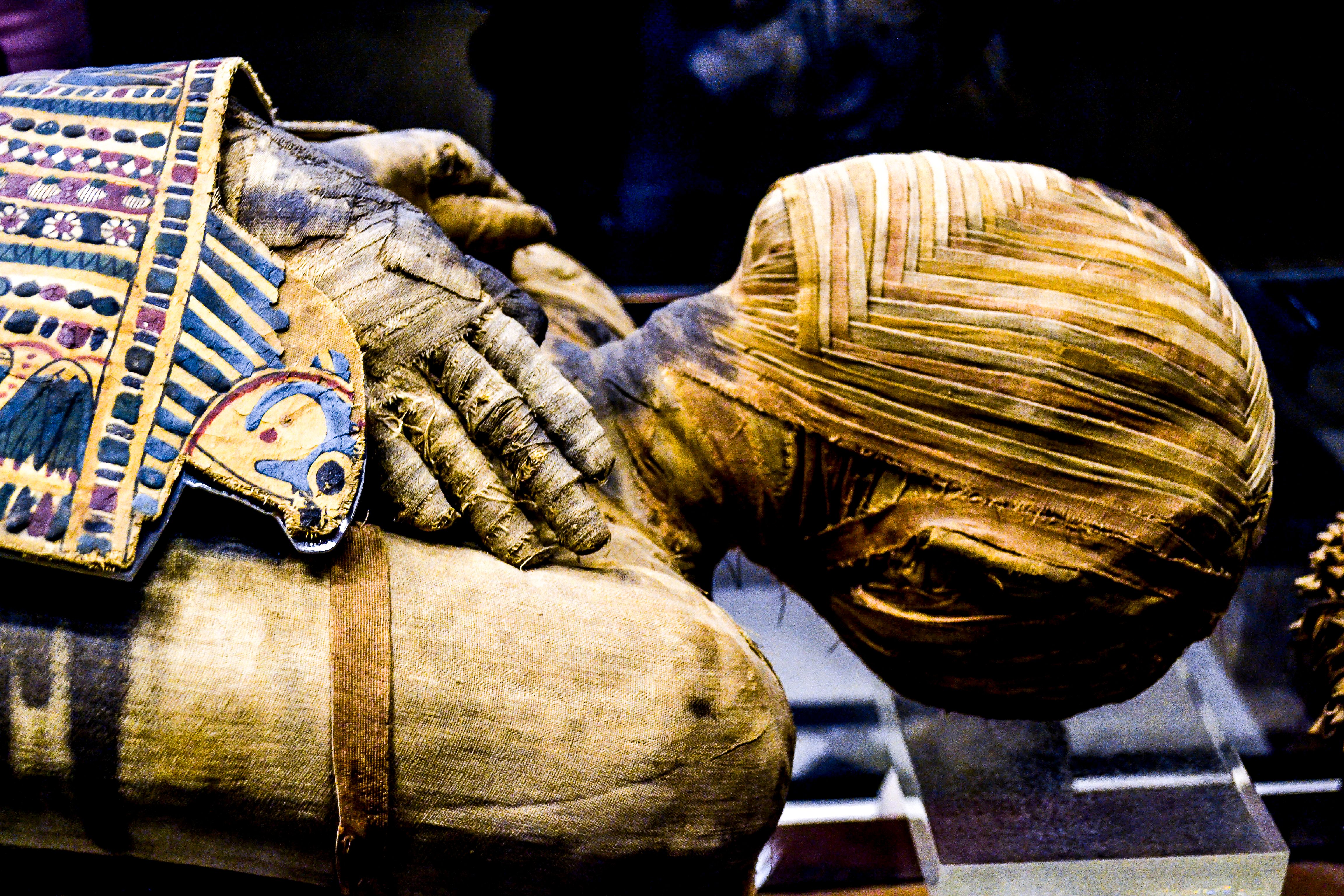 Bashiri Mummy, Ancient Egyptian Mummy is the British Museum
