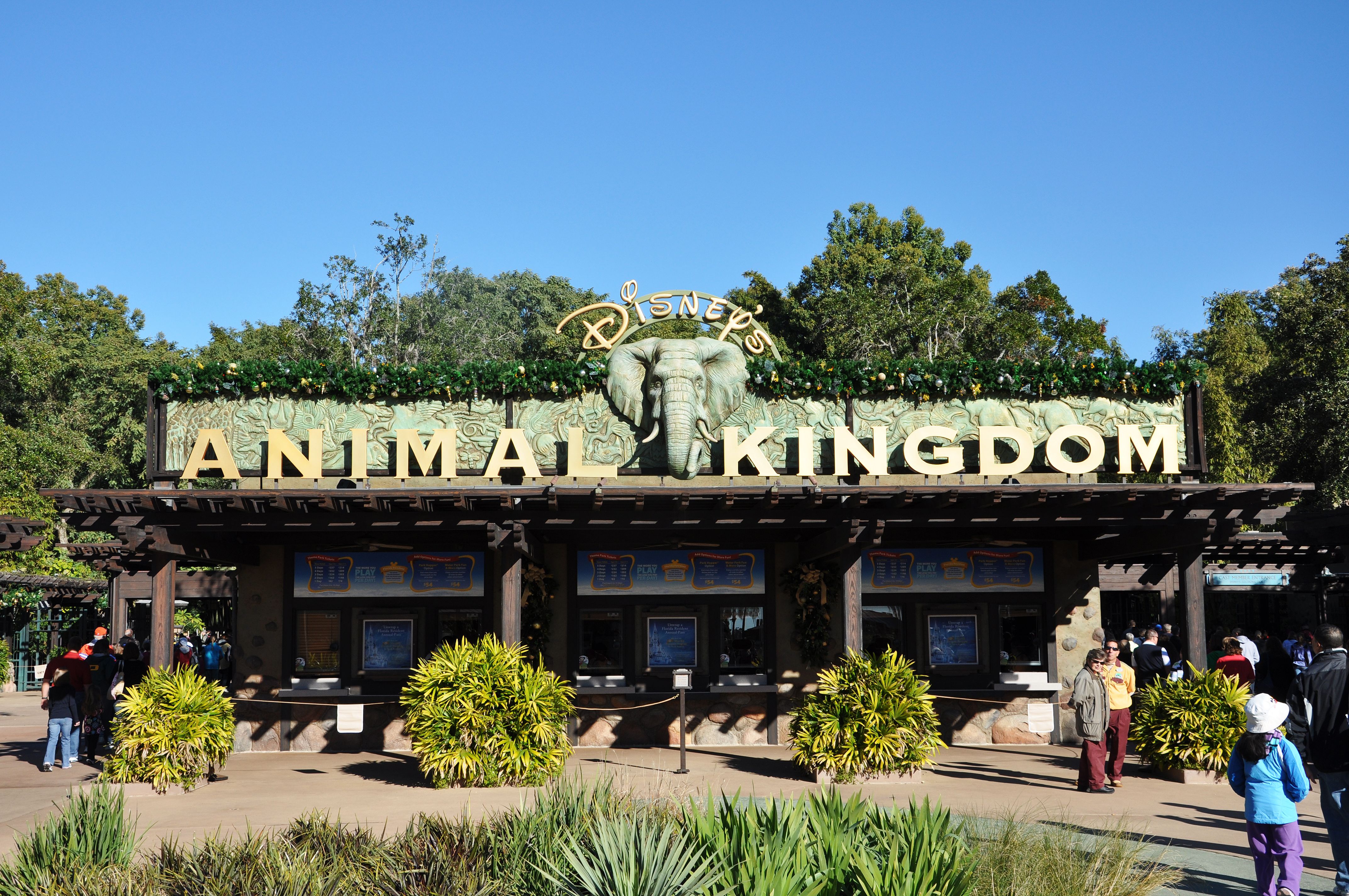 The Entrance Gates to Disney's Animal Kingdom