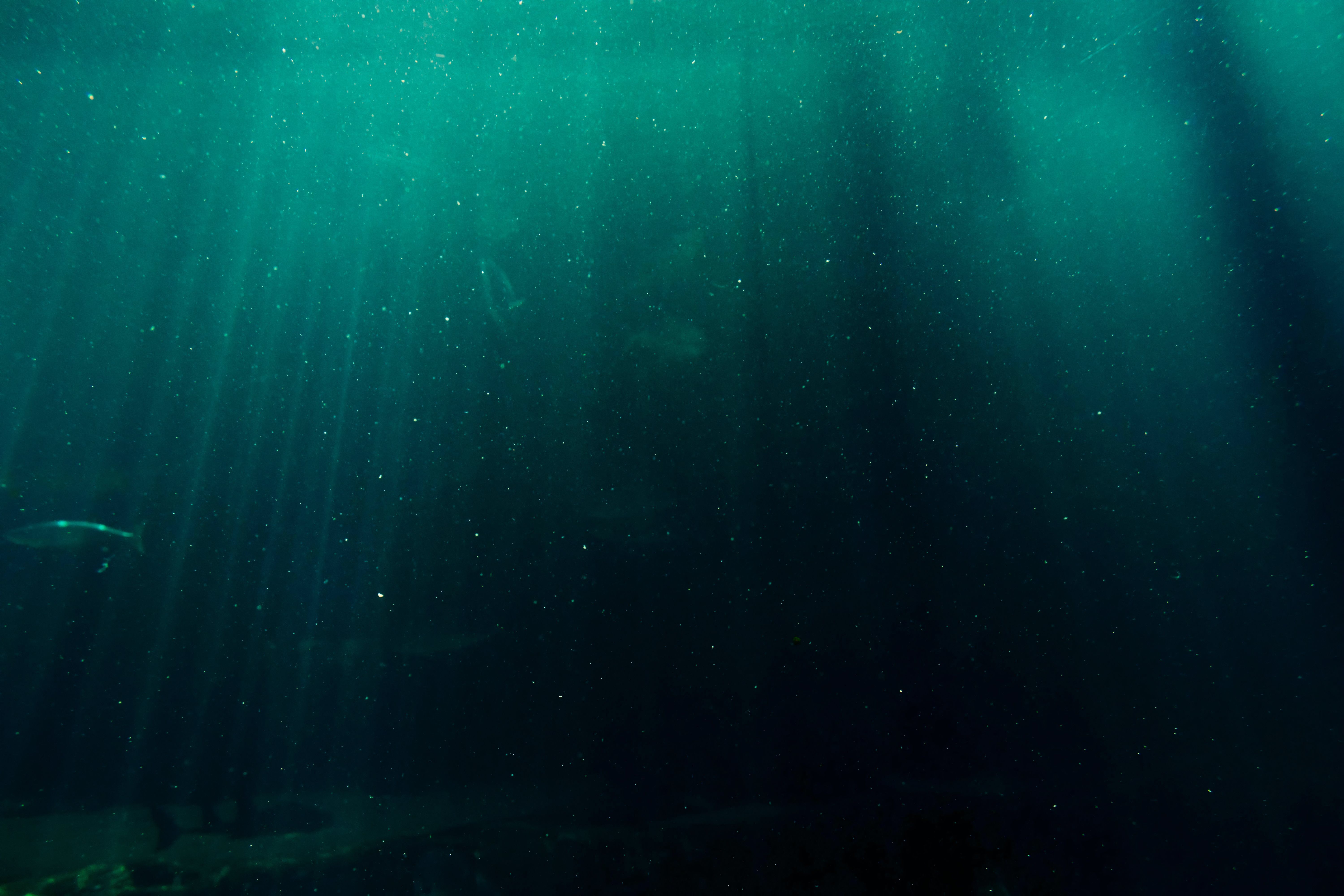 The deep sea 