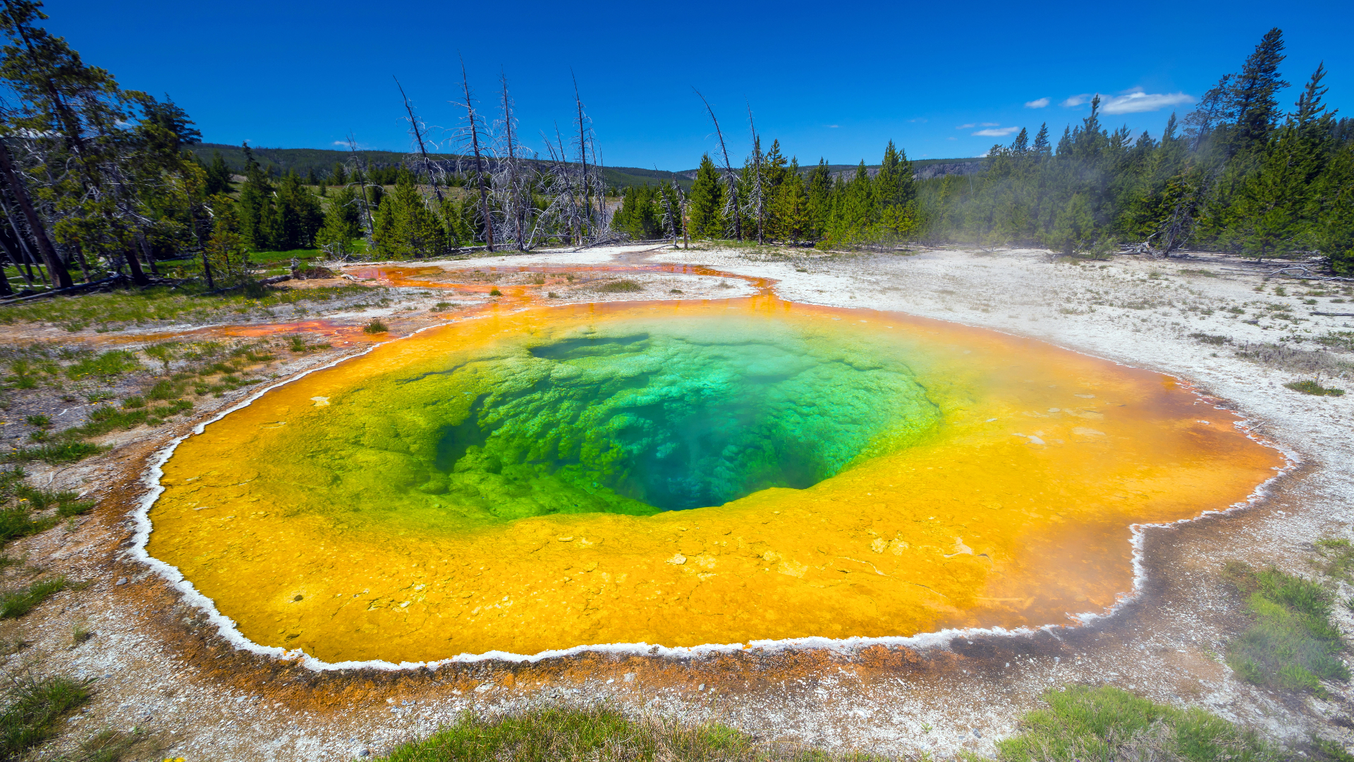 Yellowstone National Park, Wyoming, USA
