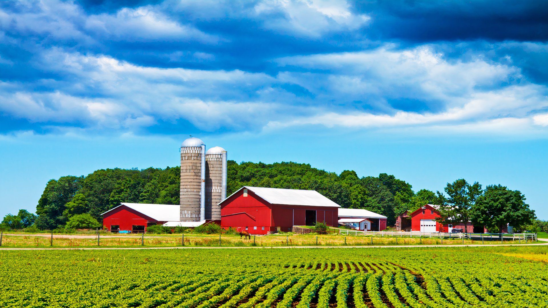 Farmland in rural Wisconsin, USA