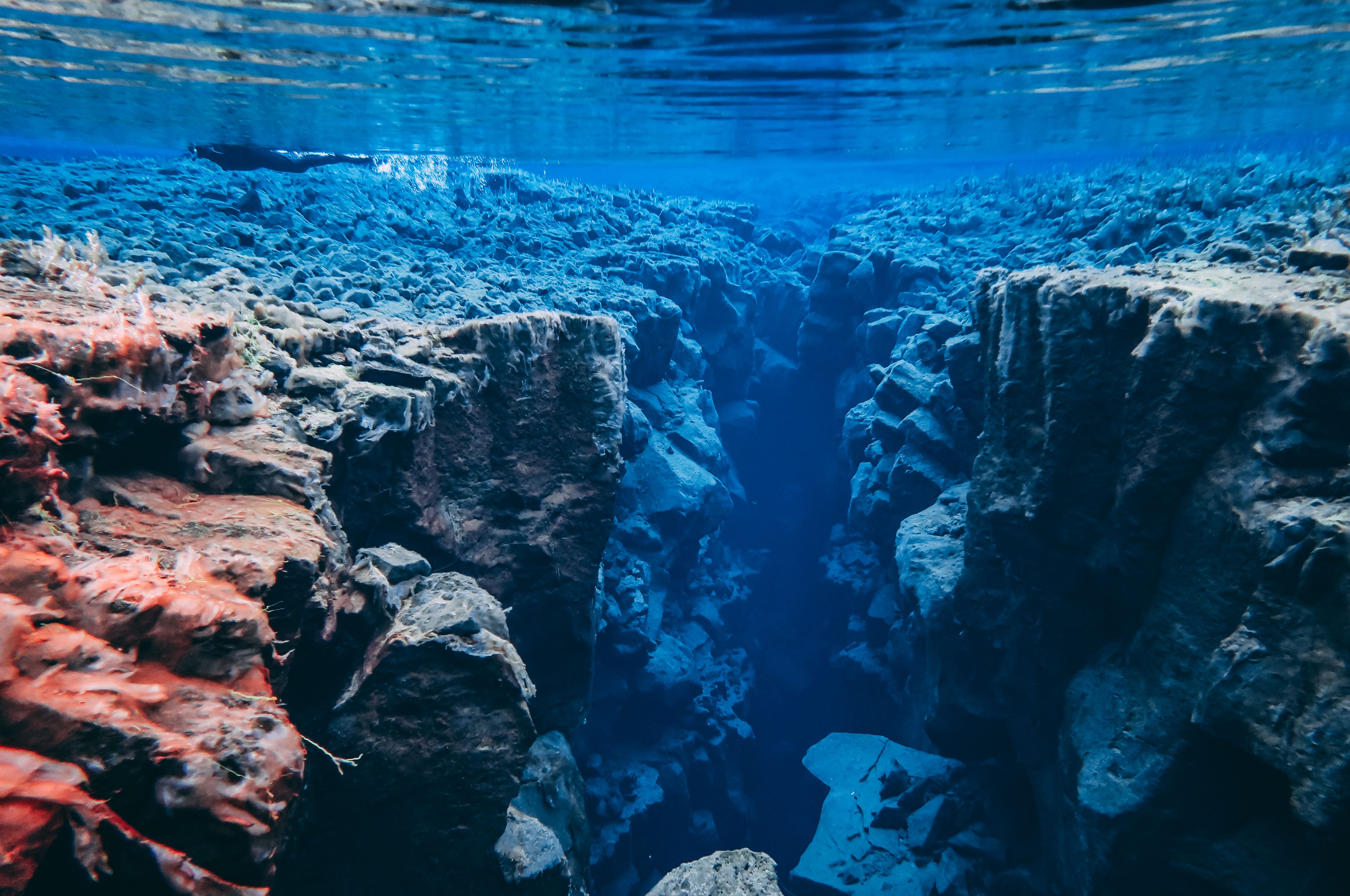 The Silver Fall between two tecton plates in the National Park Thingvelir Iceland, the pure, pure water and volcanic lava compositions.