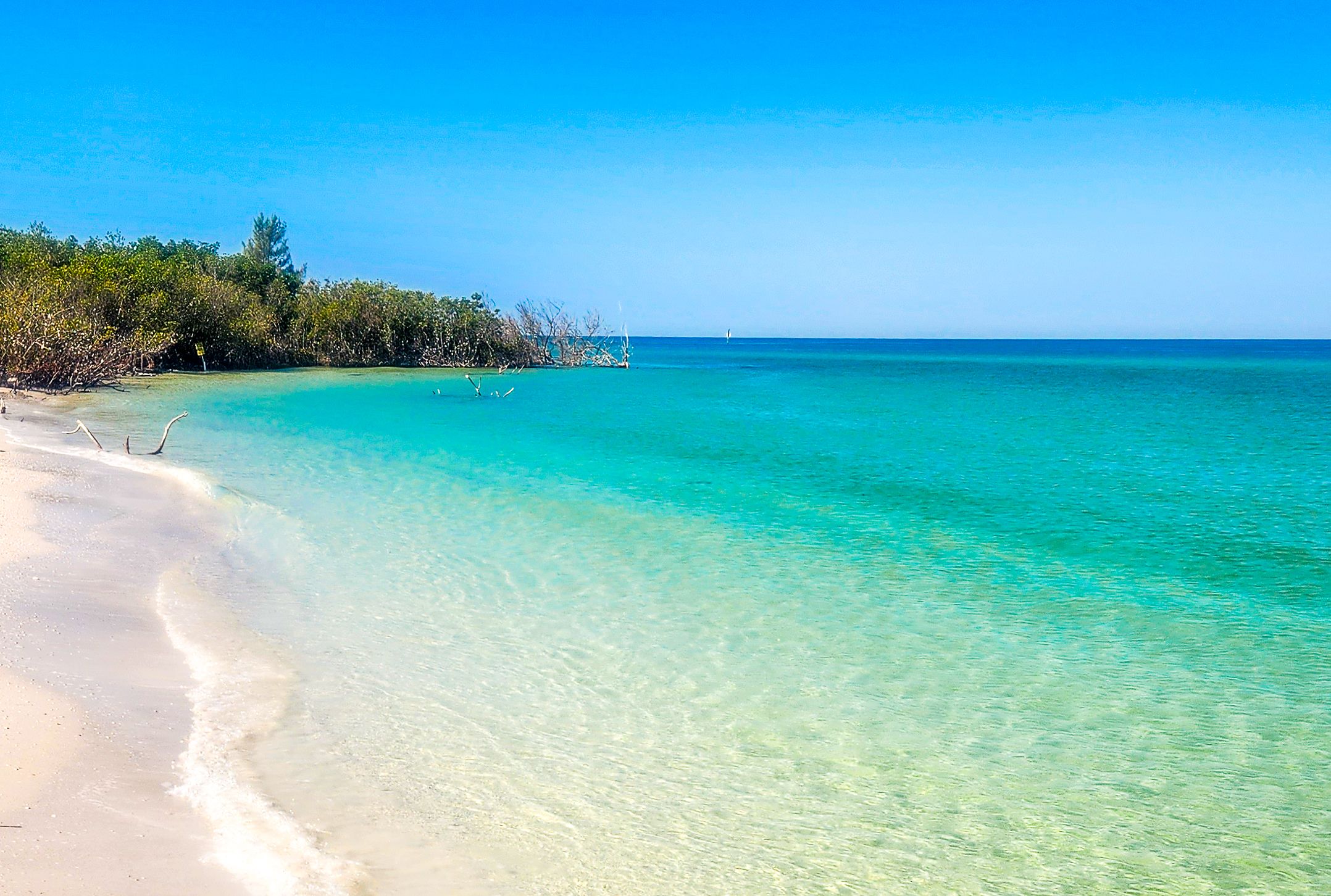 Clear blue waters of Shell Key Preserve, Florida
