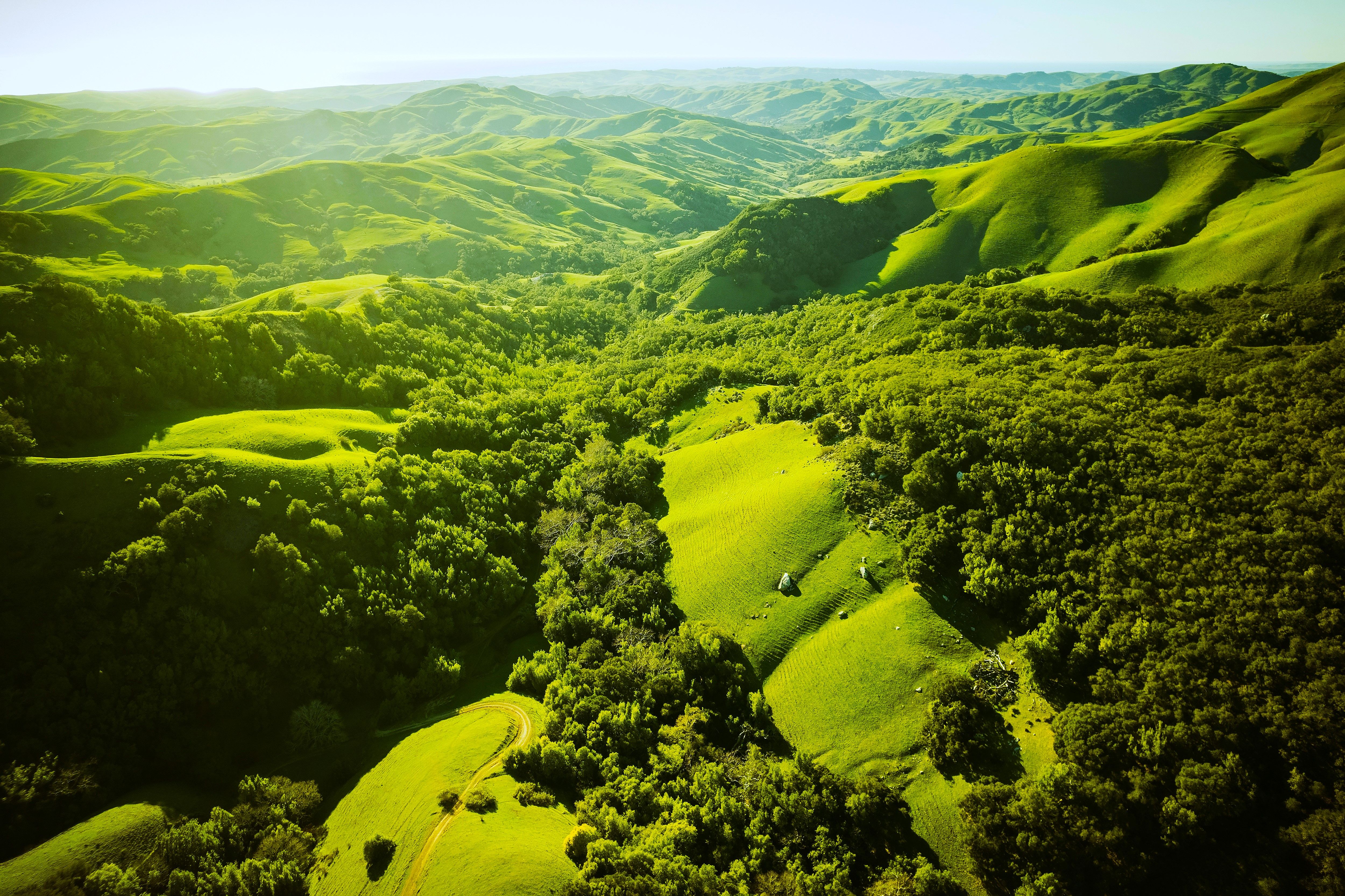 Skip Napa Valley: California's Most Underrated But Scenic Wine Region Has Ocean Views And Rolling Hills