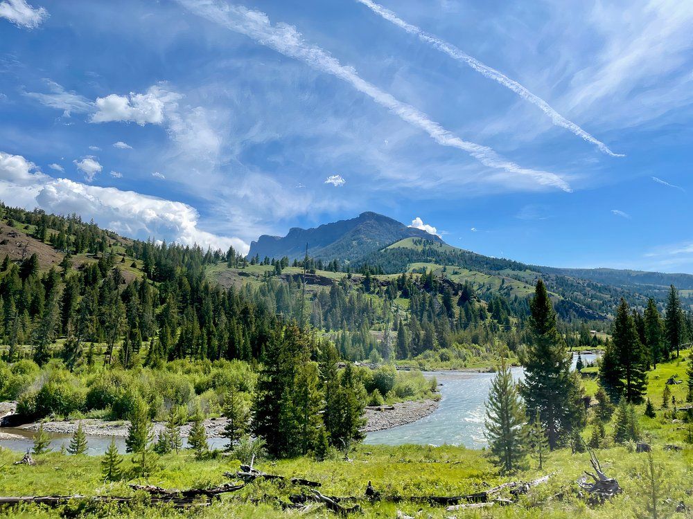 River North Fork Shoshone in Shoshone National Forest, Wyoming