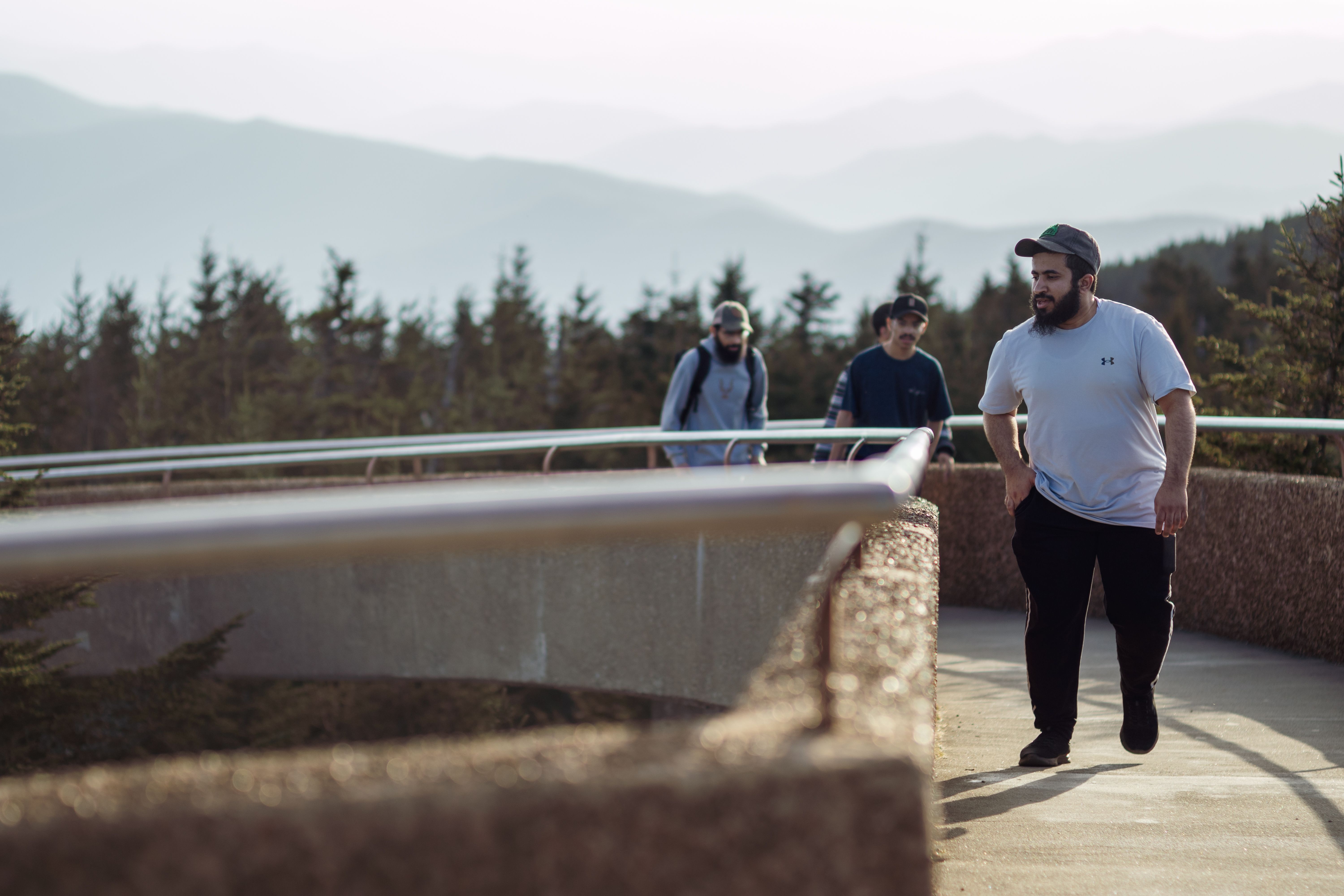 GREAT SMOKY MOUNTAINS NATIONAL PARK BEST ATTRACTIONS visual data 6