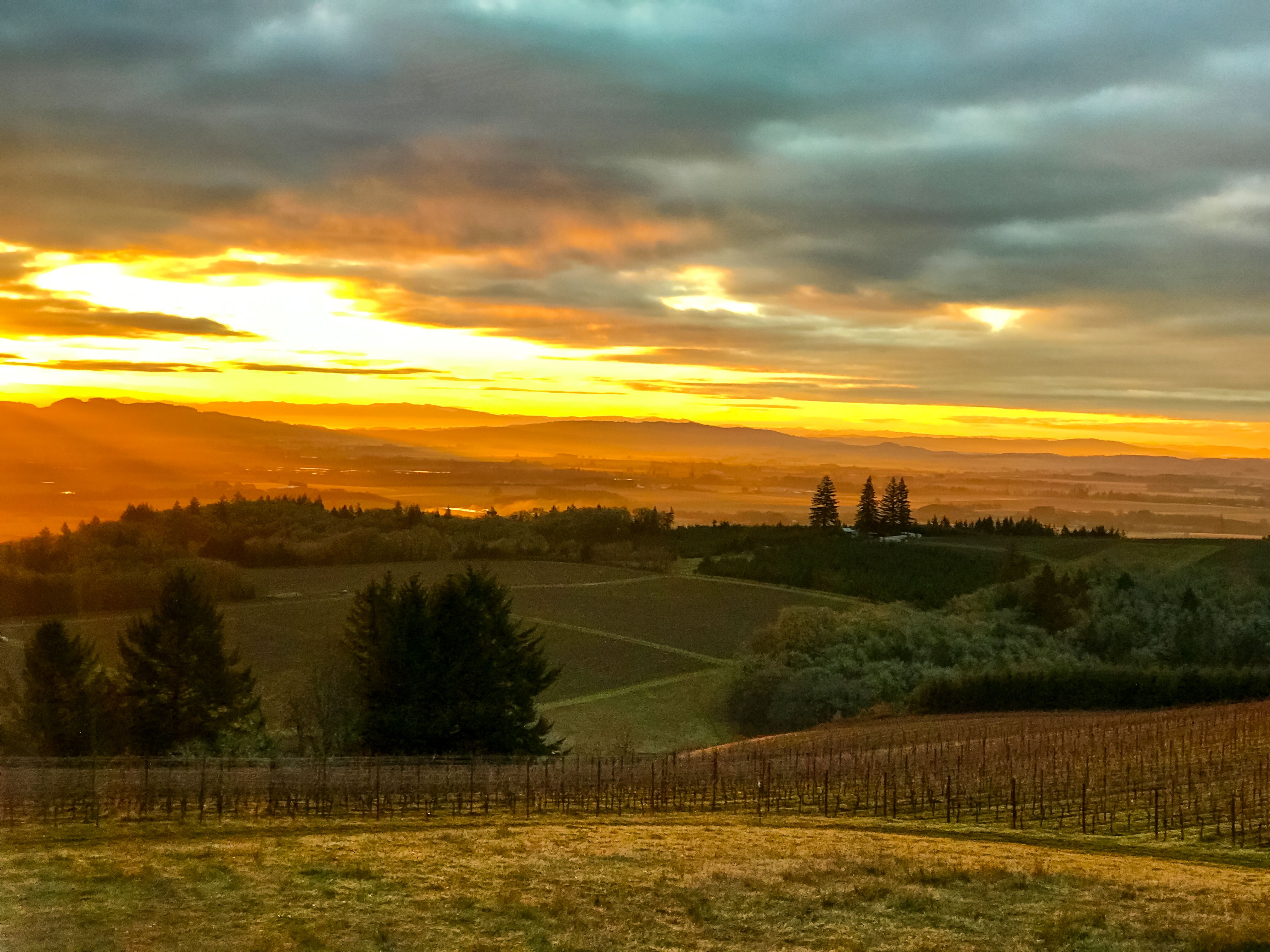 The "Tiny Scotland" Of Oregon Is The Friendliest Town In The State