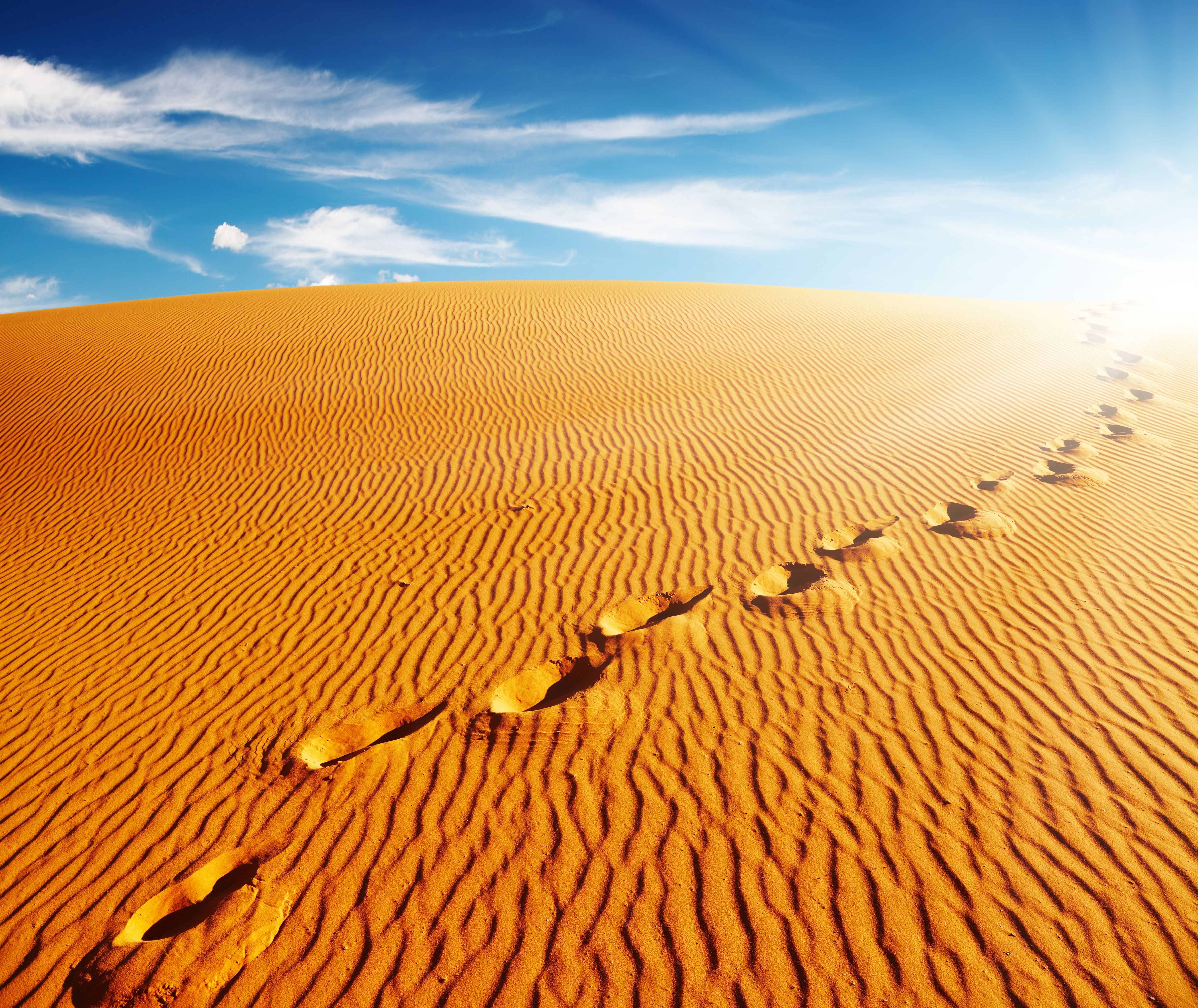Footprints in the sand of the sand in the desert of Sahara