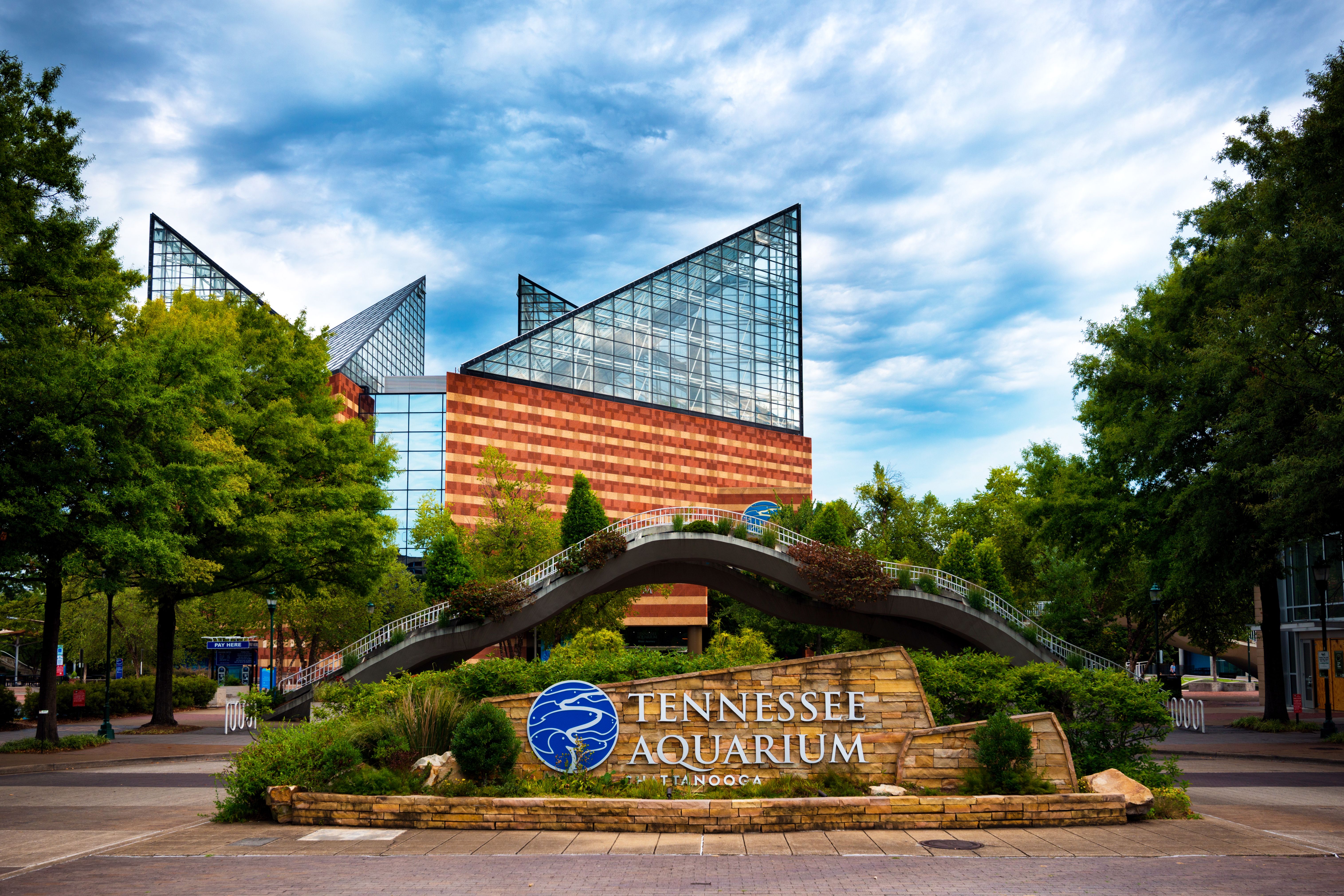 Tennessee Aquarium in Chattanooga, TN
