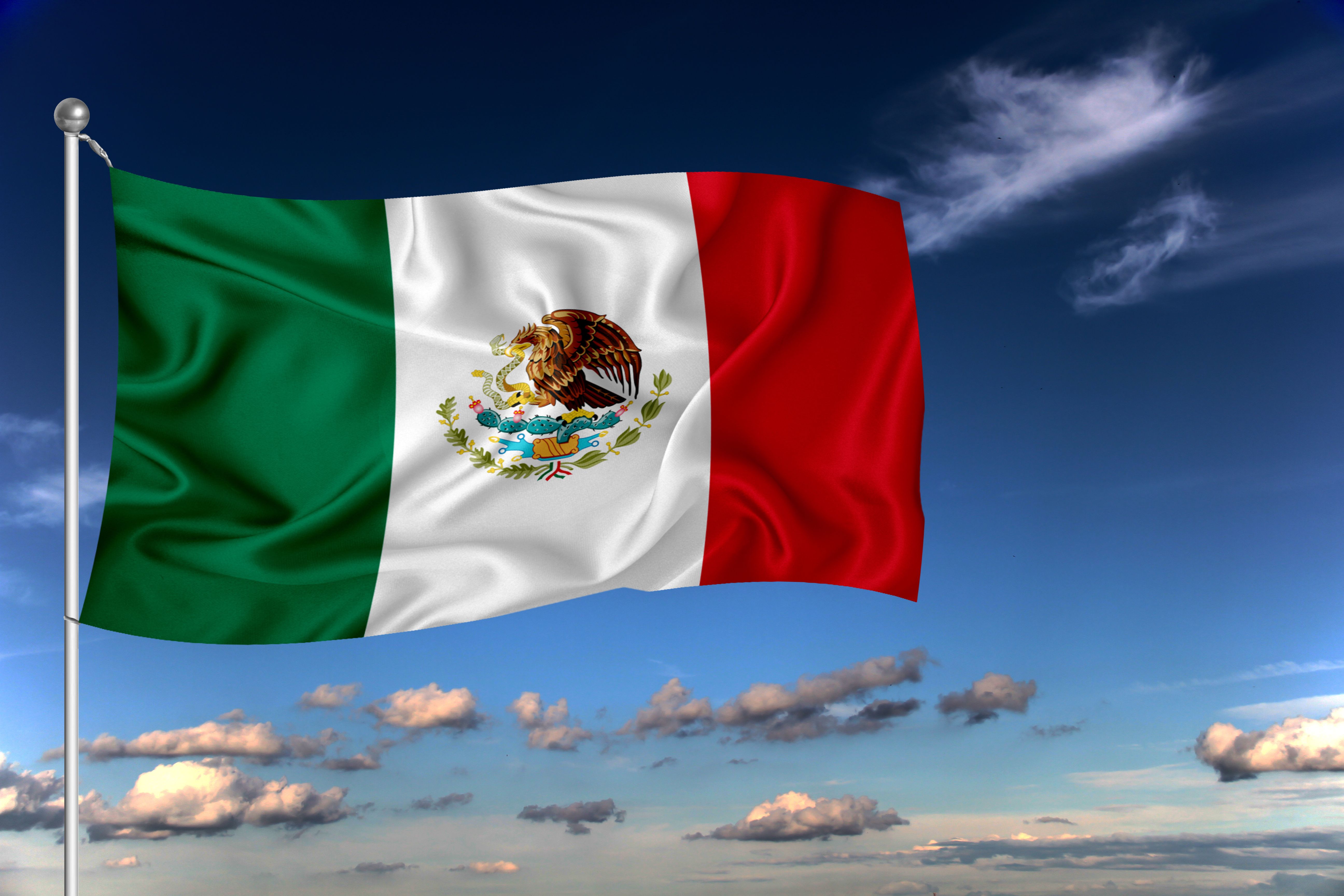 Mexican Flag