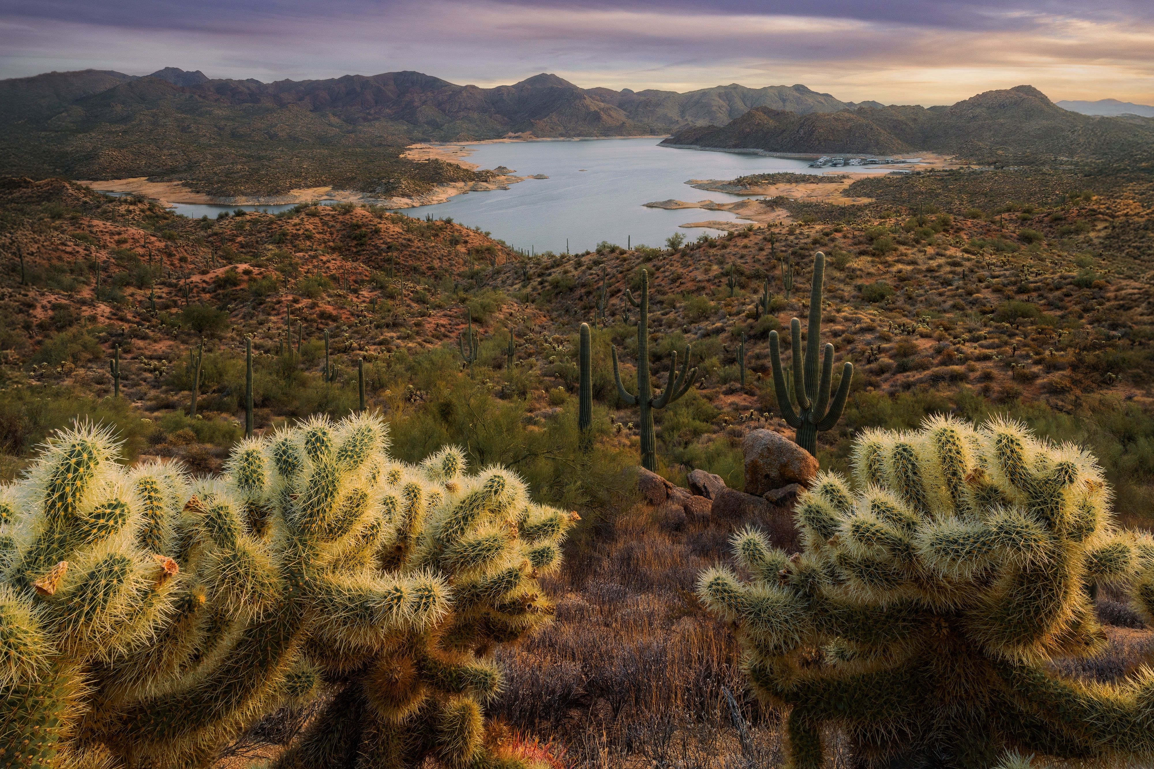 Sunset view of the desert landscape around Bartlett Lake in Arizona, AZ, USA