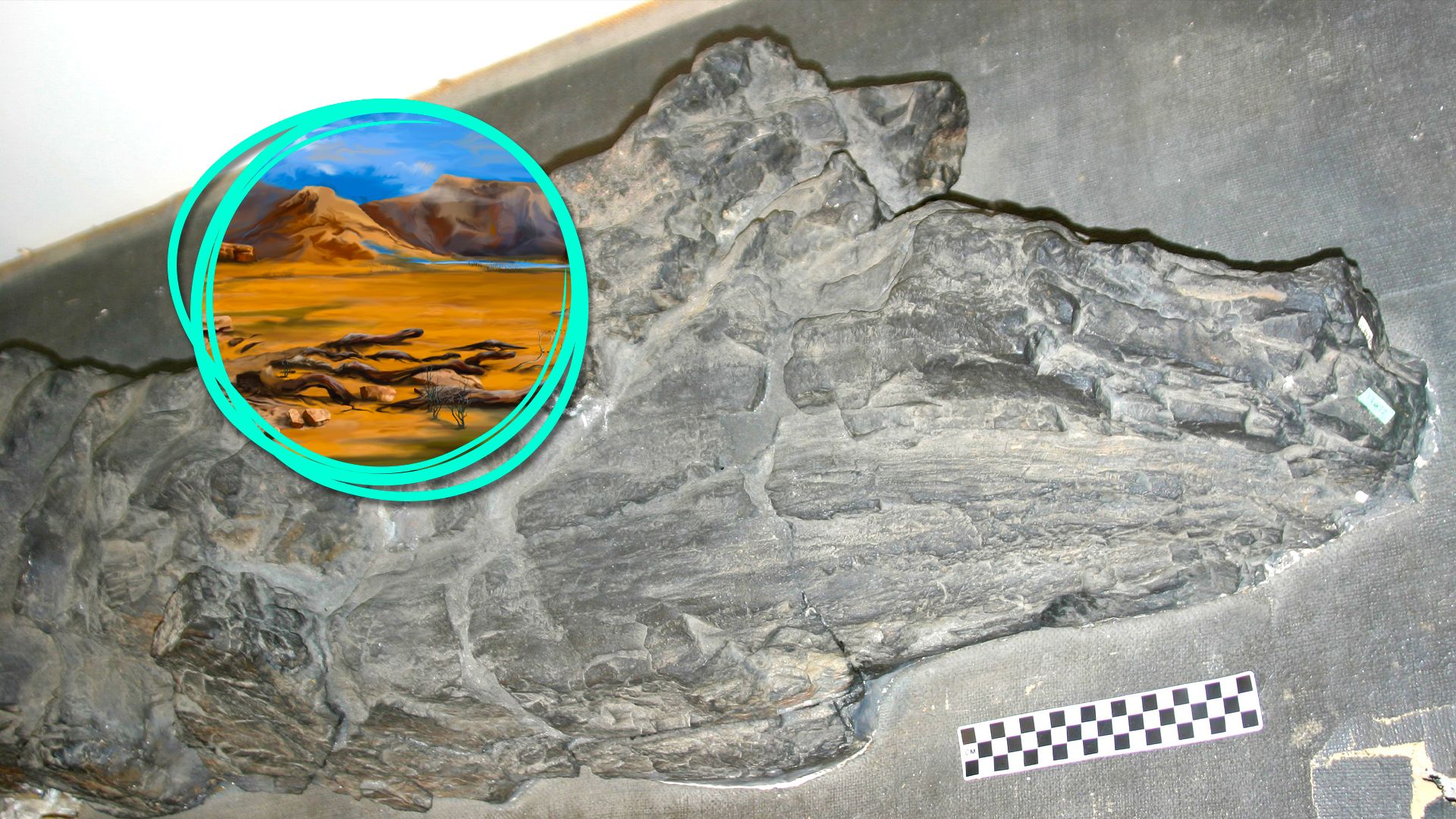 This Mysterious 26-Foot-Tall Fossil Doesn't Belong To Any Known Lifeform