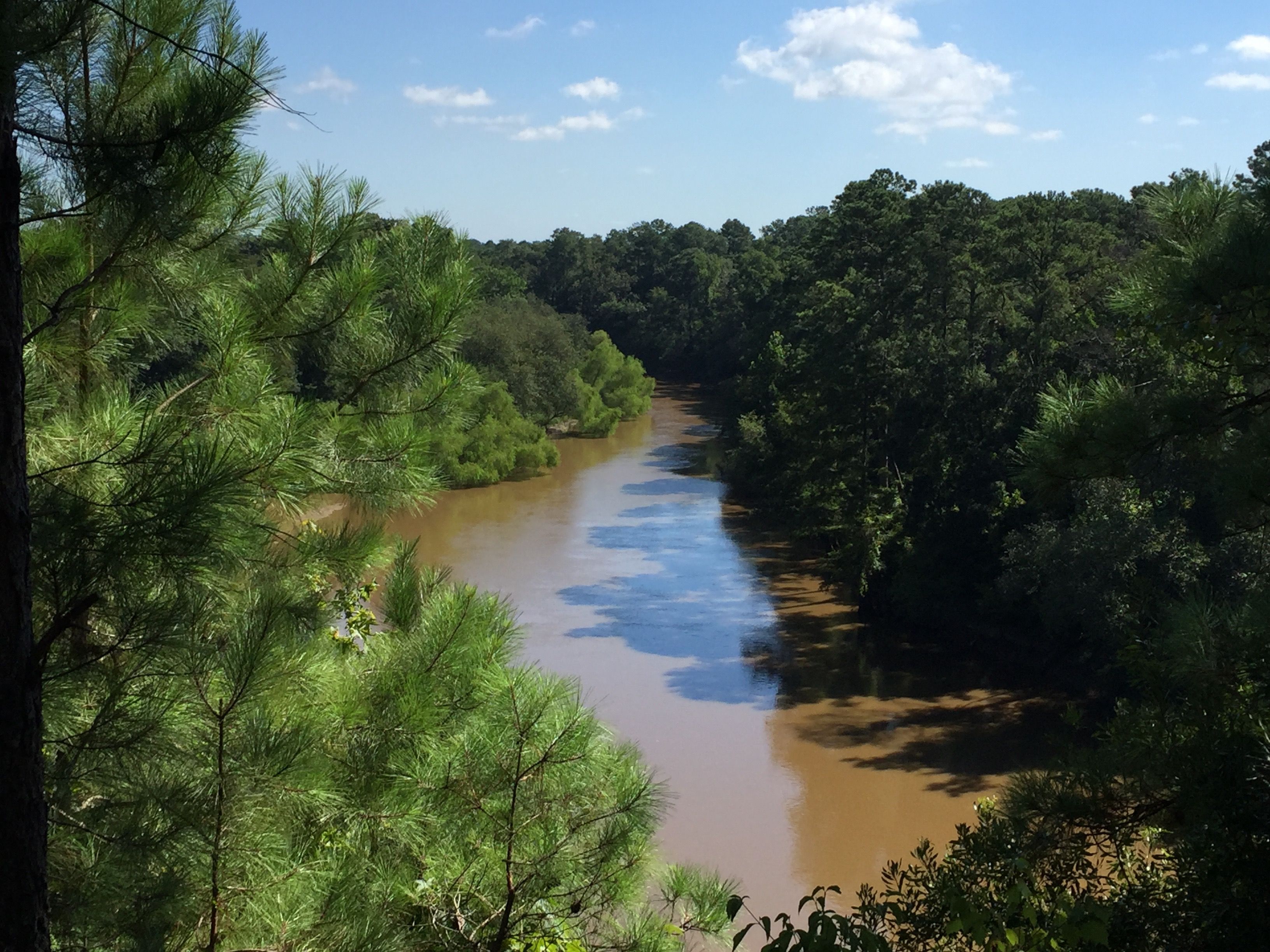 Neuse River View-Seven Springs, North Carolina, USA