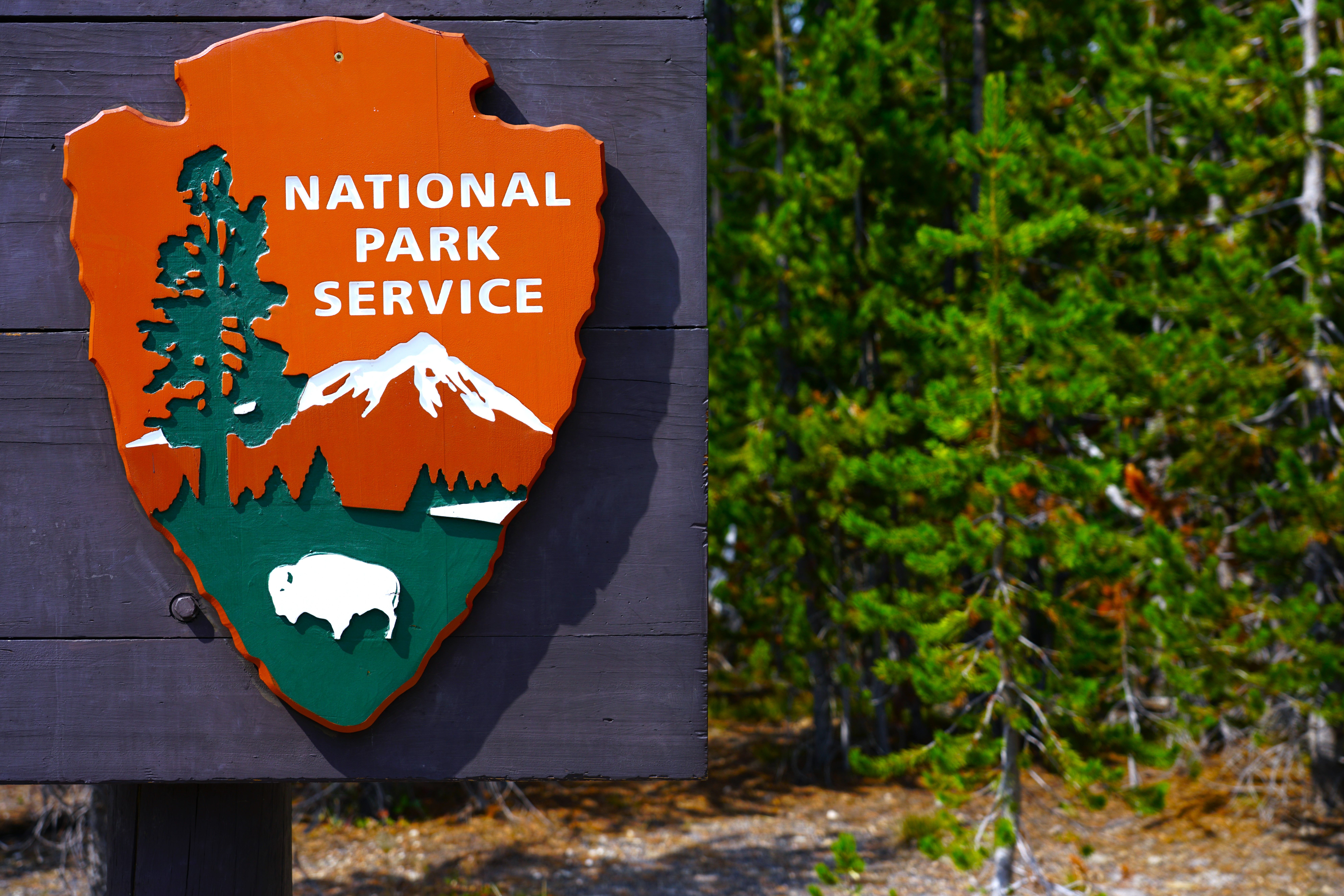 National Park Service sign against a green forest