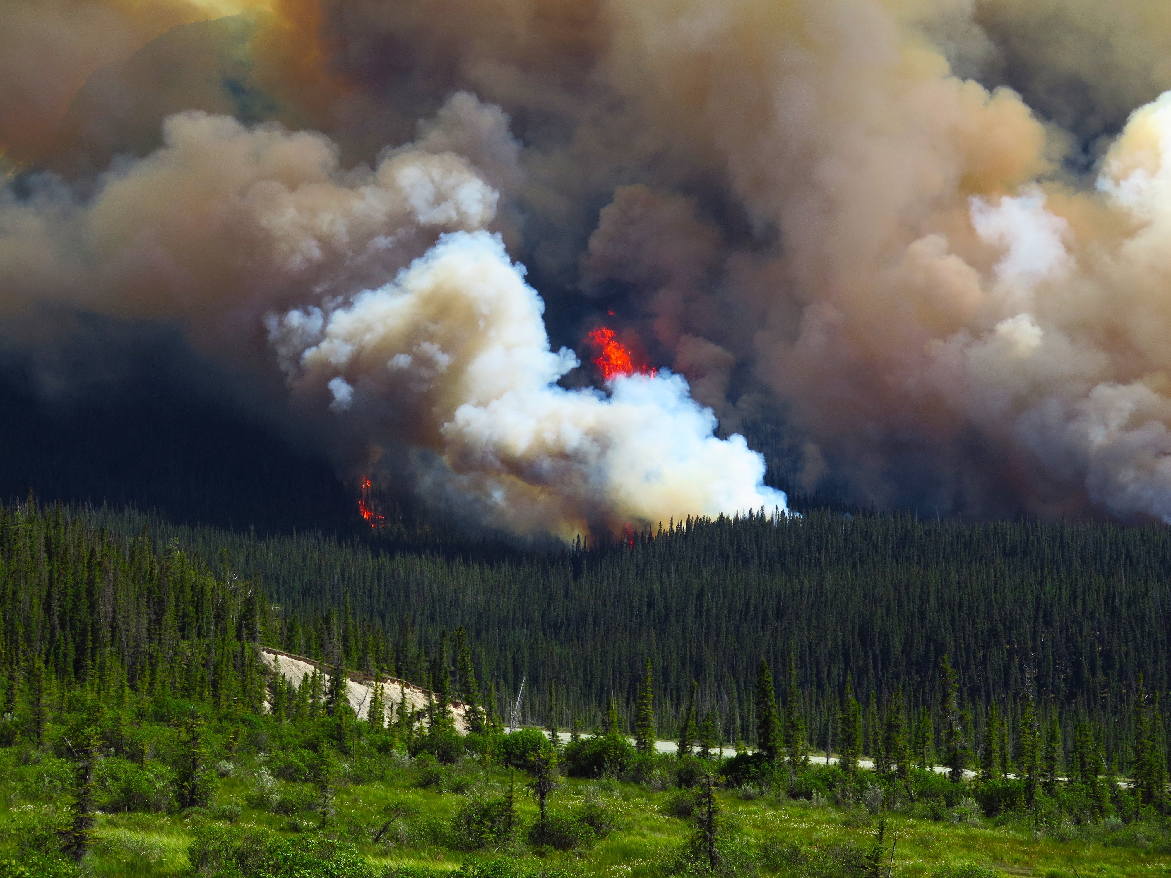 A wildfire close to the Saskatchewan River Crossing, Banff National Park, Icefields Parkway, Rocky Mountains, Alberta, Canada