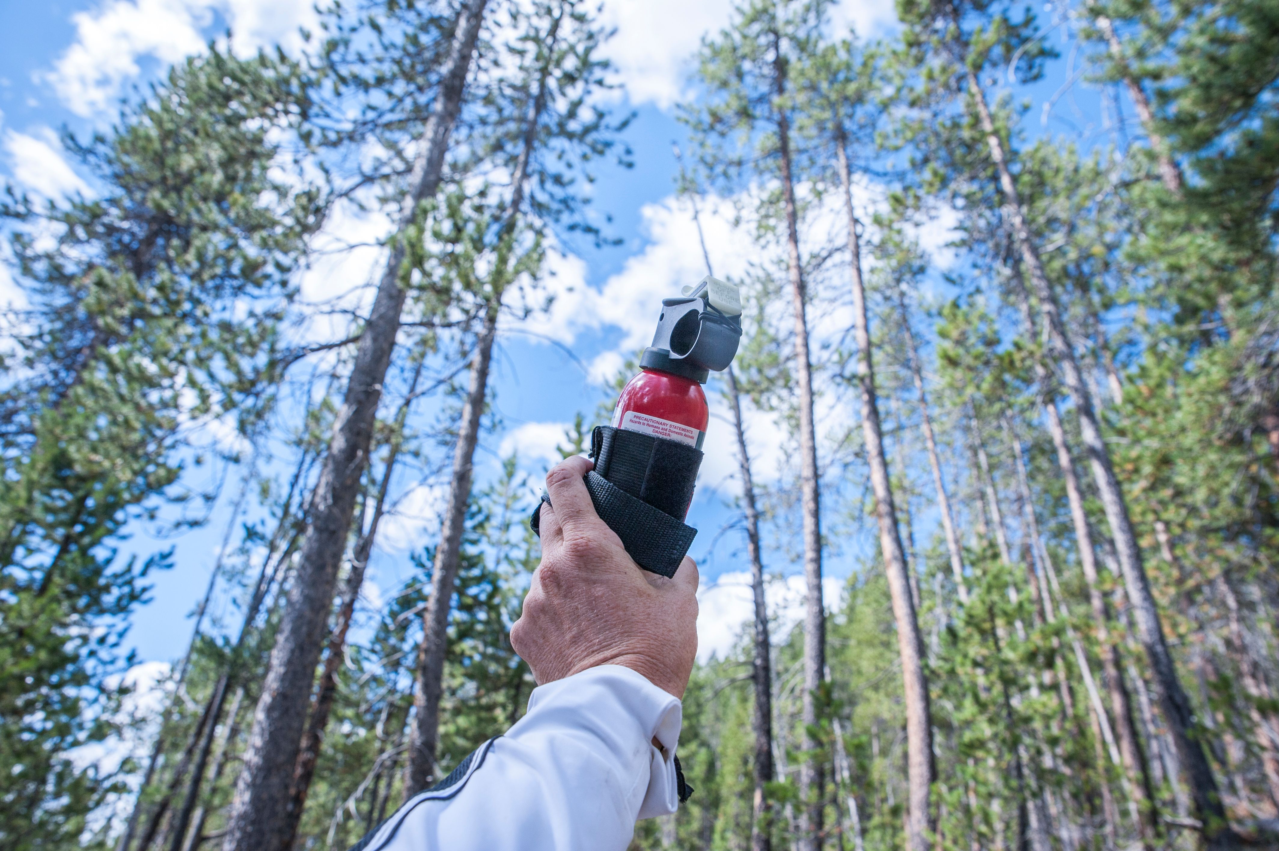 Bear Spray