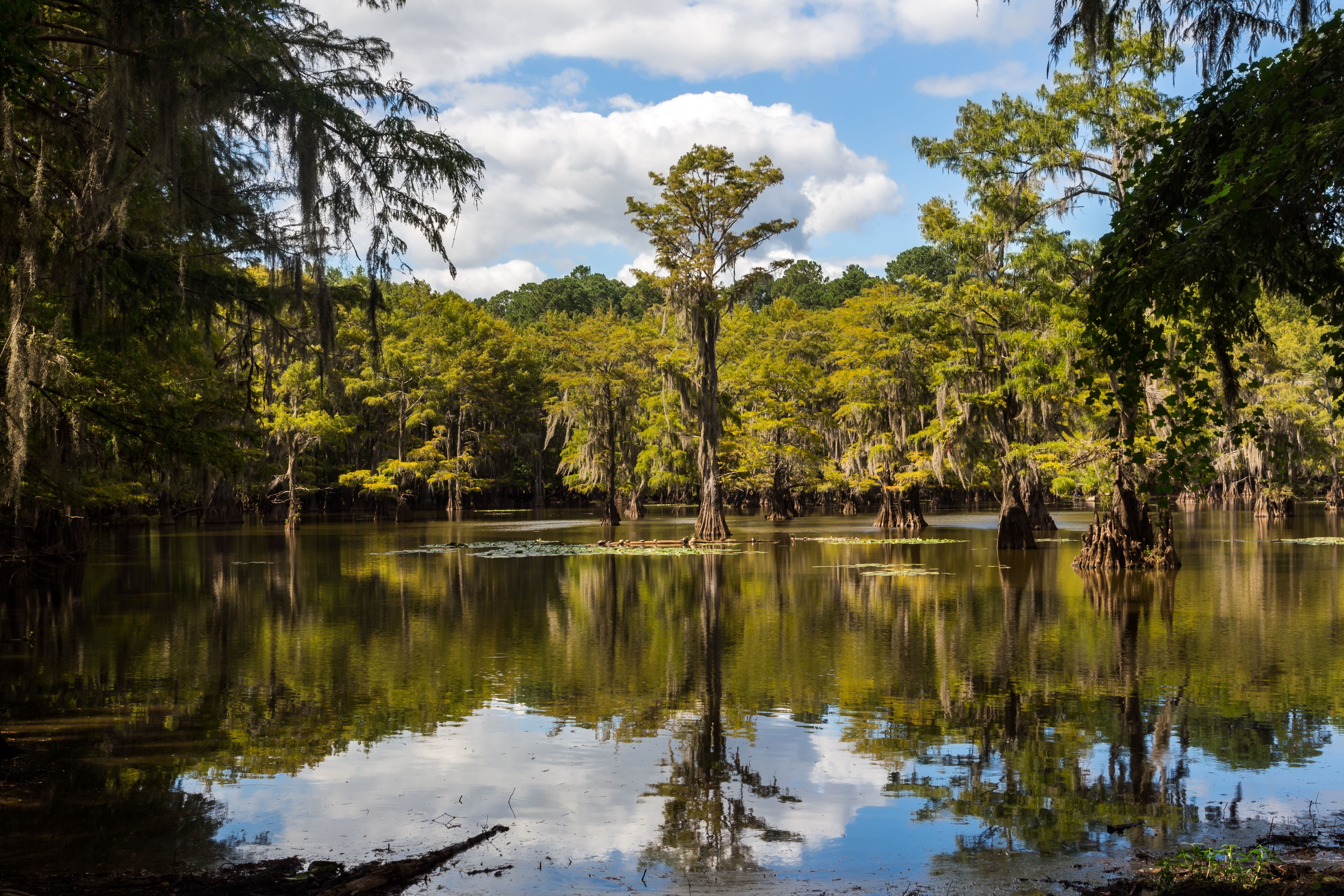 Caddo Lake State Park